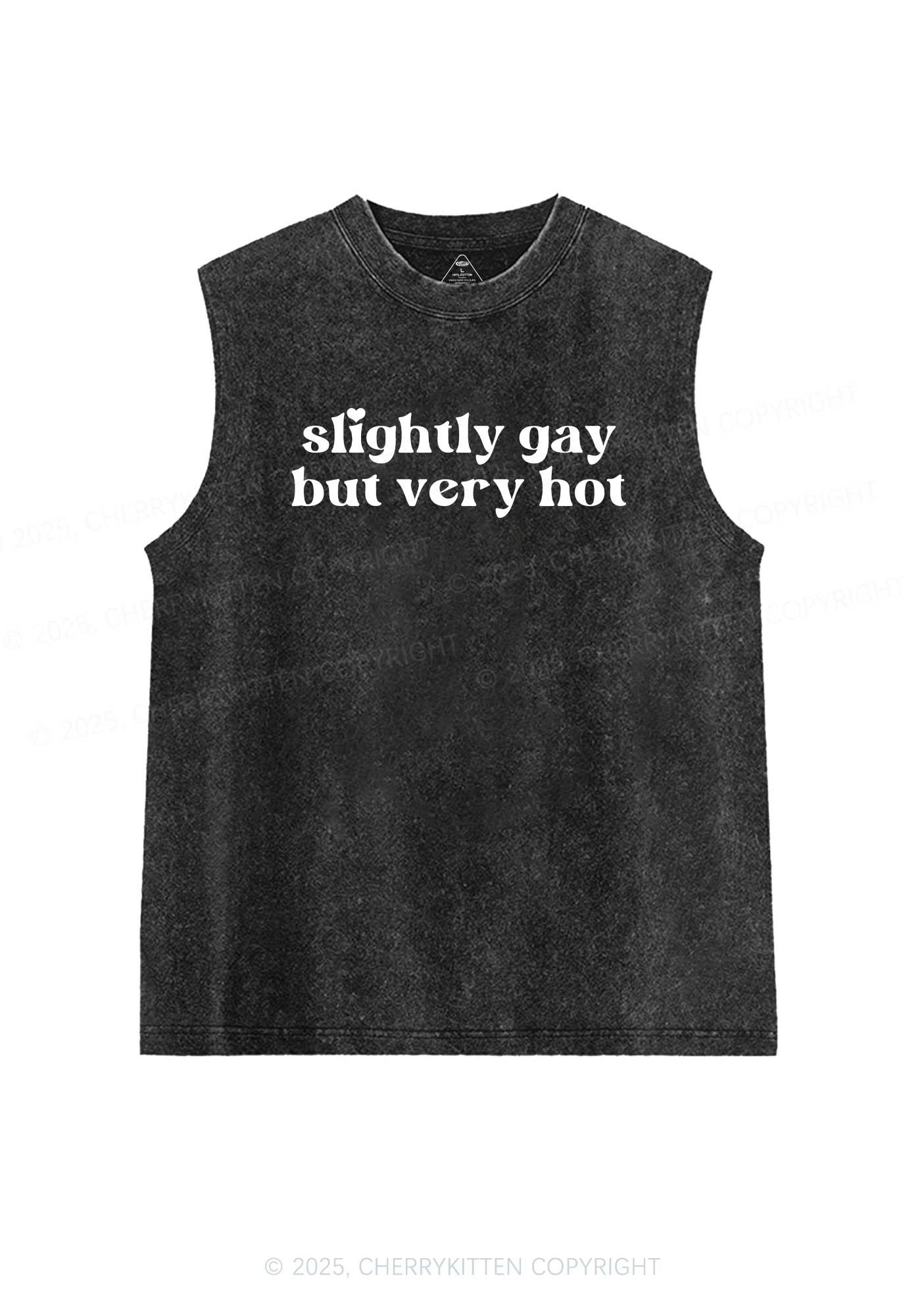 Slightly Gay But Very Hot Pride Y2K Washed Muscle Tank Cherrykitten - Image 3