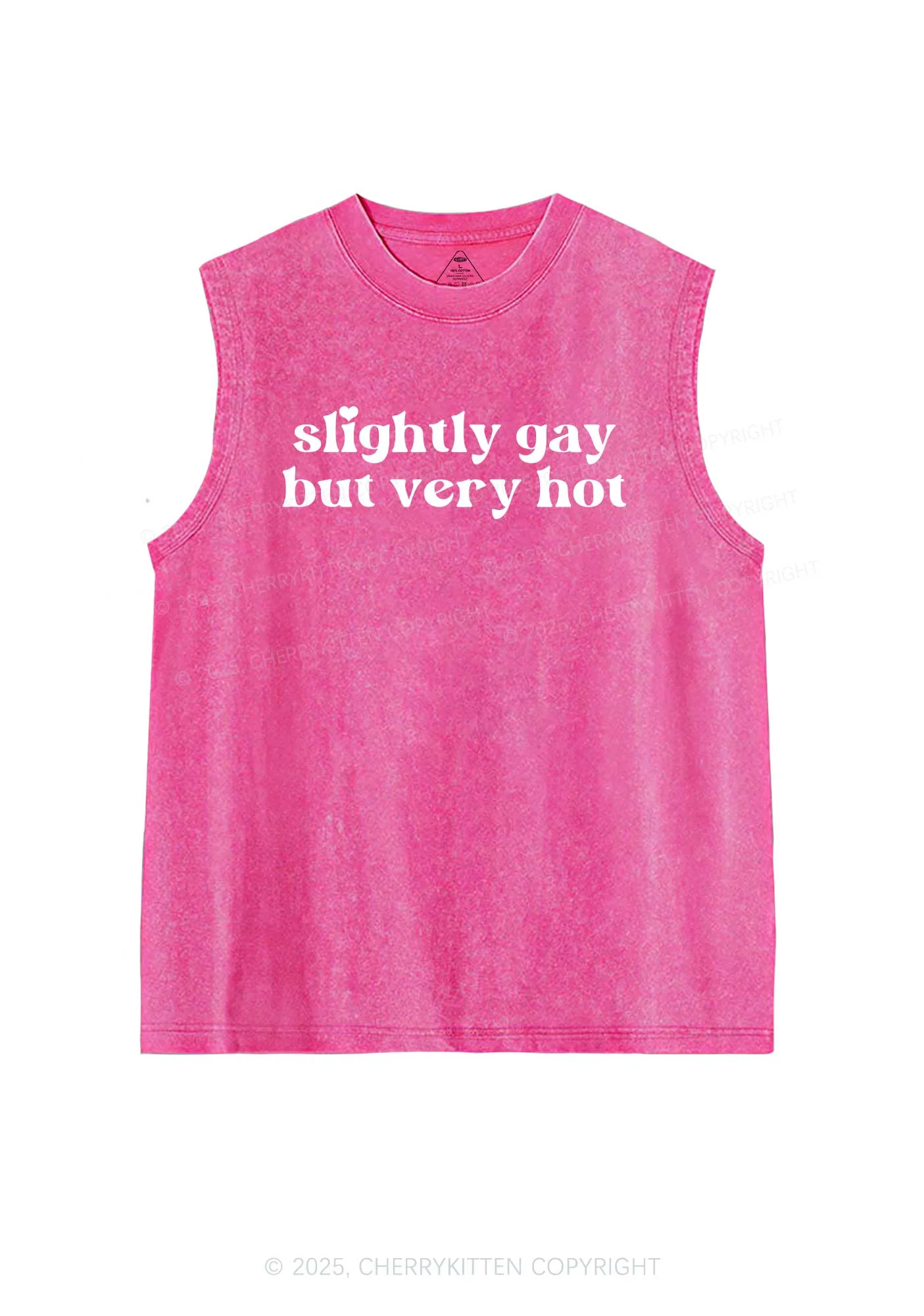 Slightly Gay But Very Hot Pride Y2K Washed Muscle Tank Cherrykitten - Image 4