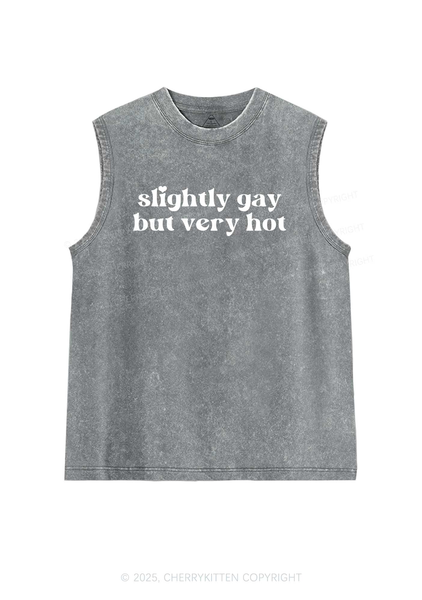 Slightly Gay But Very Hot Pride Y2K Washed Muscle Tank Cherrykitten - Image 5