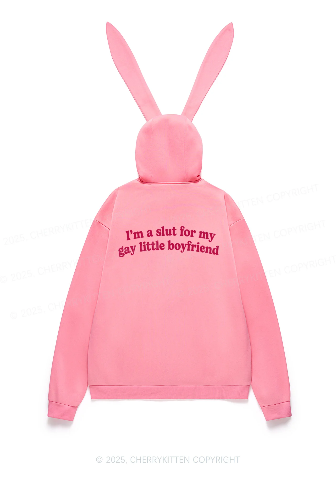 Slxt For My Gay BF Y2K Bunny Ear Zip Hoodie Cherrykitten - Image 3