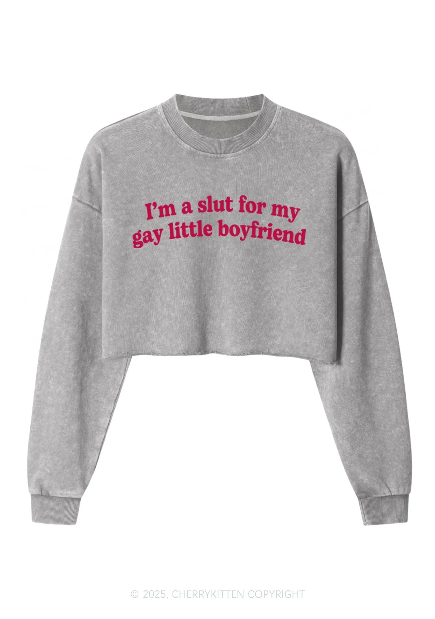 Slxt For My Gay BF Y2K Crop Washed Sweatshirts Cherrykitten - Image 5