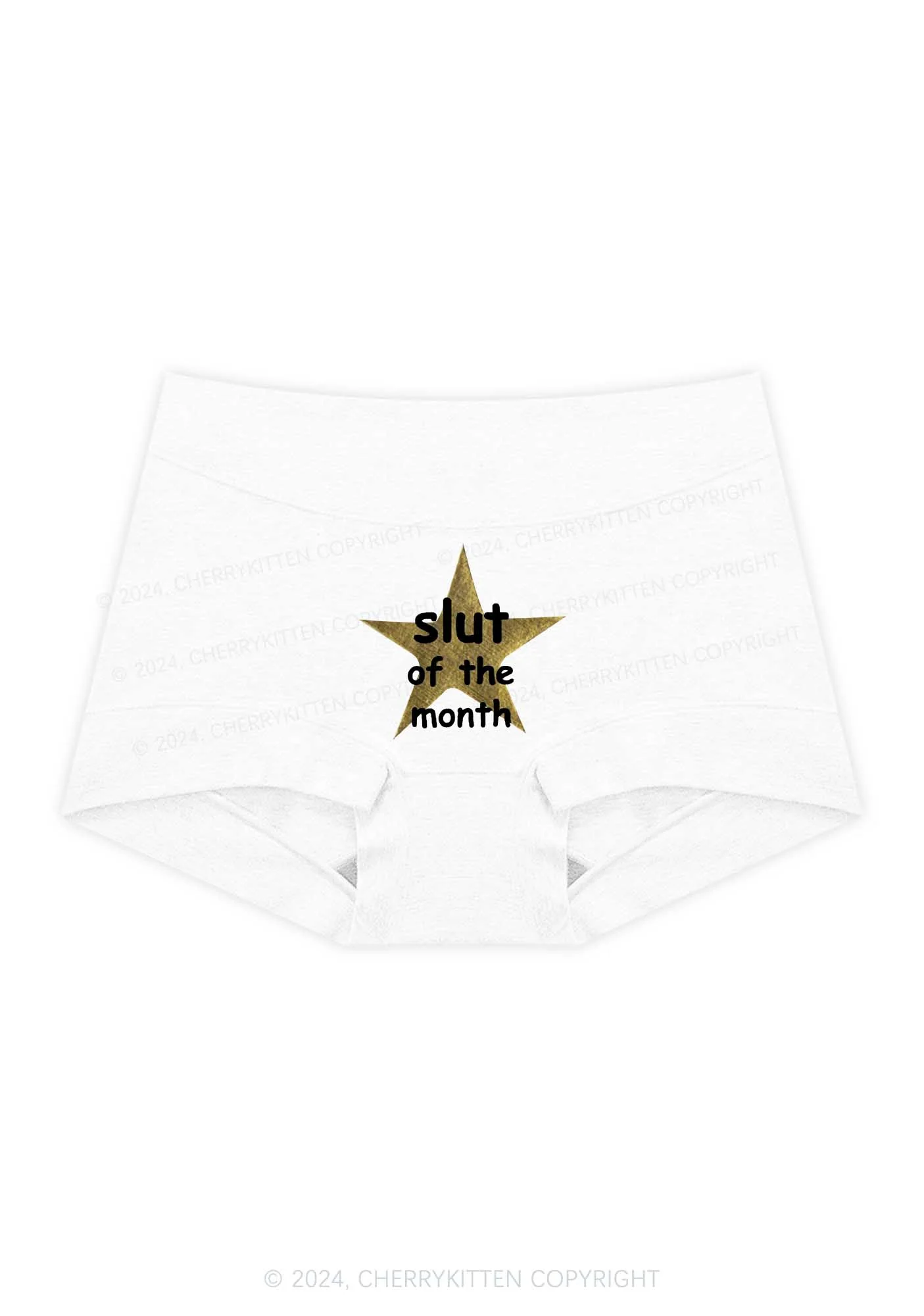 Slxt Star Y2K Mid Rise Waist Boyshort Cherrykitten - Image 4
