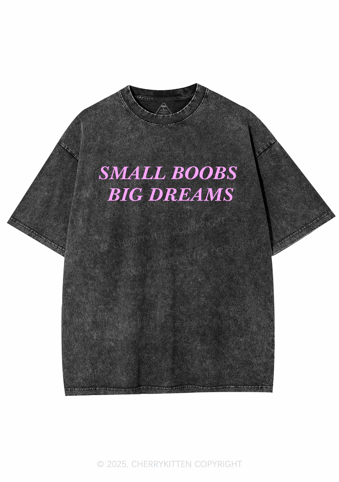 Small But Big Dreams Y2K Shirts Washed Tee Cherrykitten - Image 3