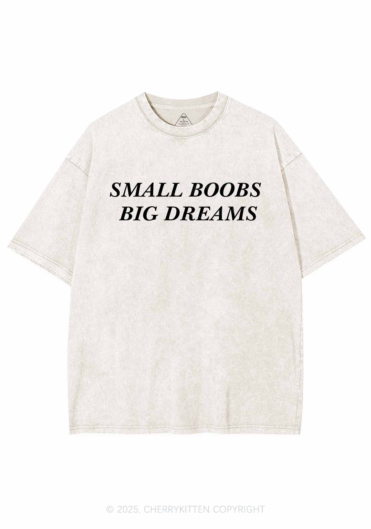 Small But Big Dreams Y2K Shirts Washed Tee Cherrykitten - Image 4