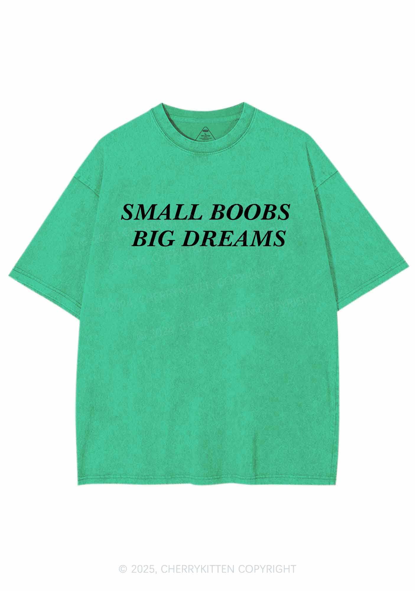 Small But Big Dreams Y2K Shirts Washed Tee Cherrykitten - Image 6
