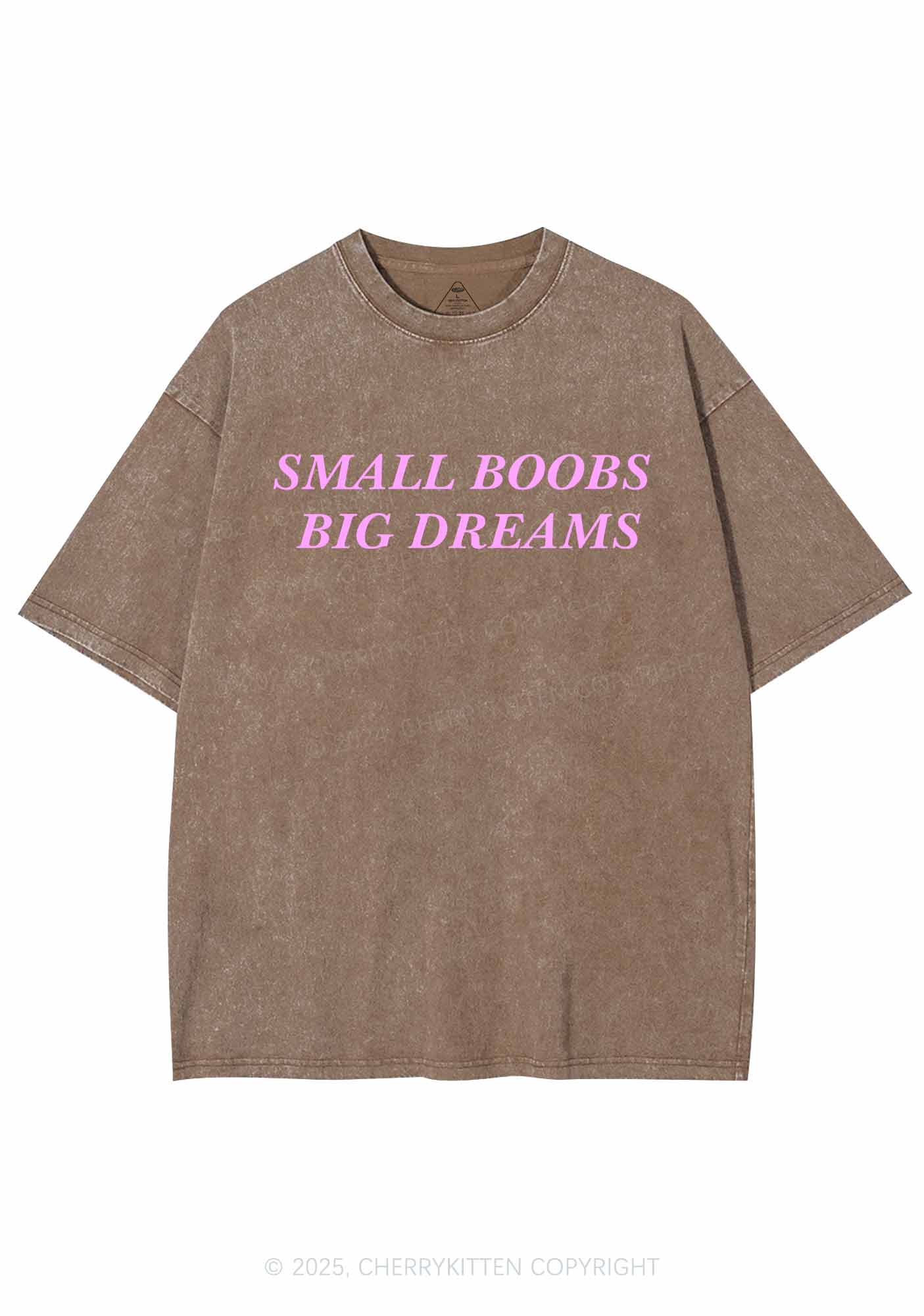 Small But Big Dreams Y2K Shirts Washed Tee Cherrykitten - Image 7