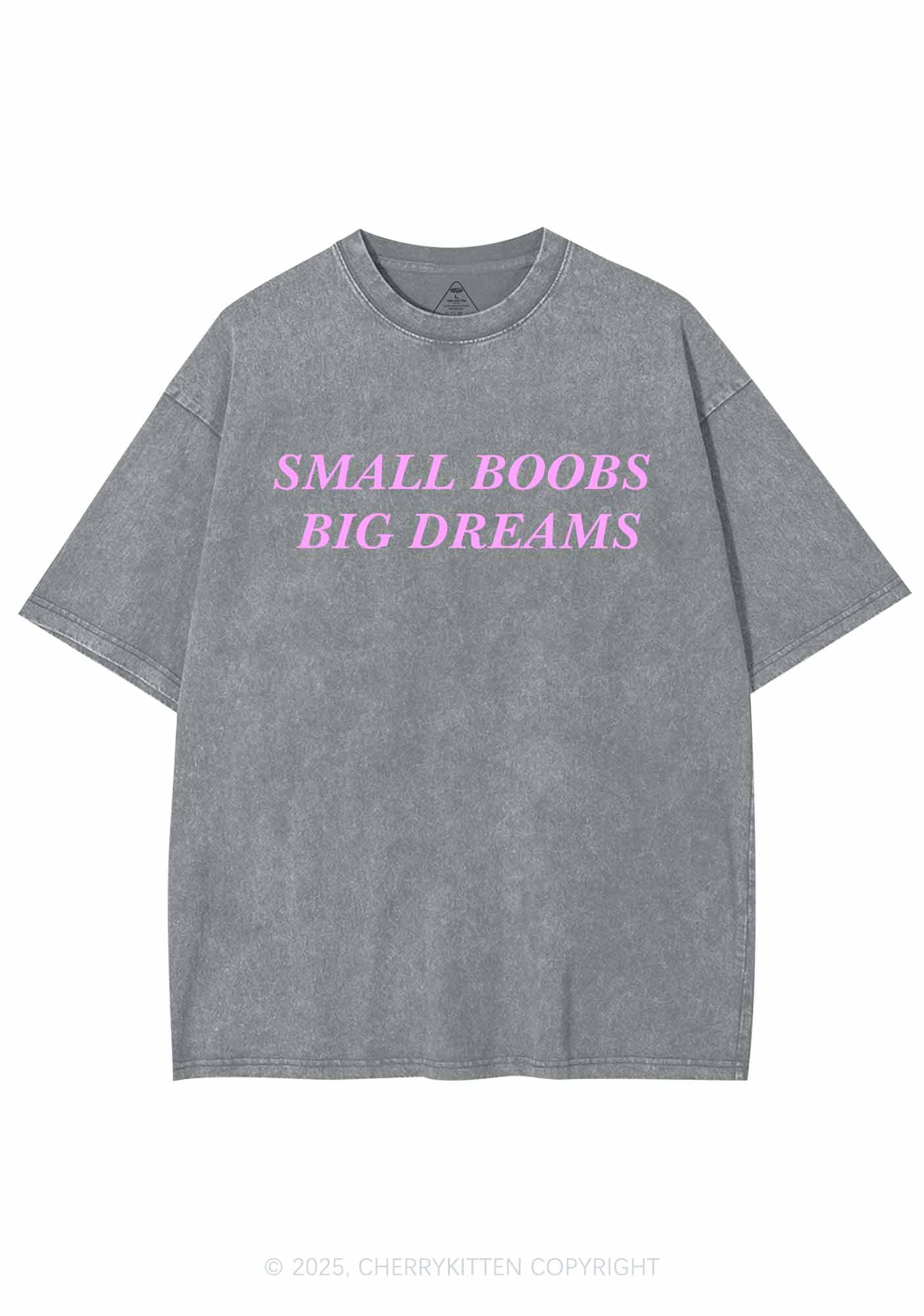 Small But Big Dreams Y2K Shirts Washed Tee Cherrykitten - Image 8