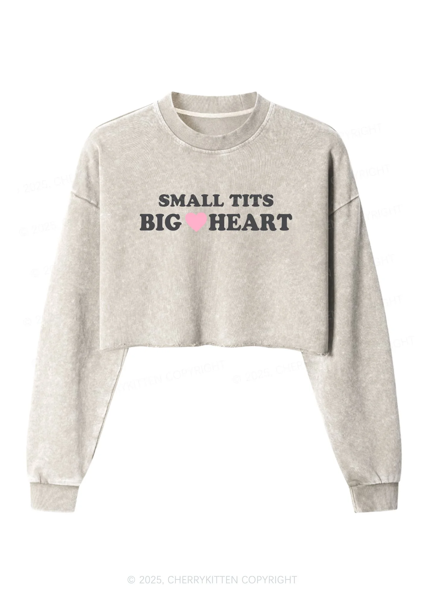 Small But Big Heart Y2K Crop Washed Sweatshirts Cherrykitten - Image 3