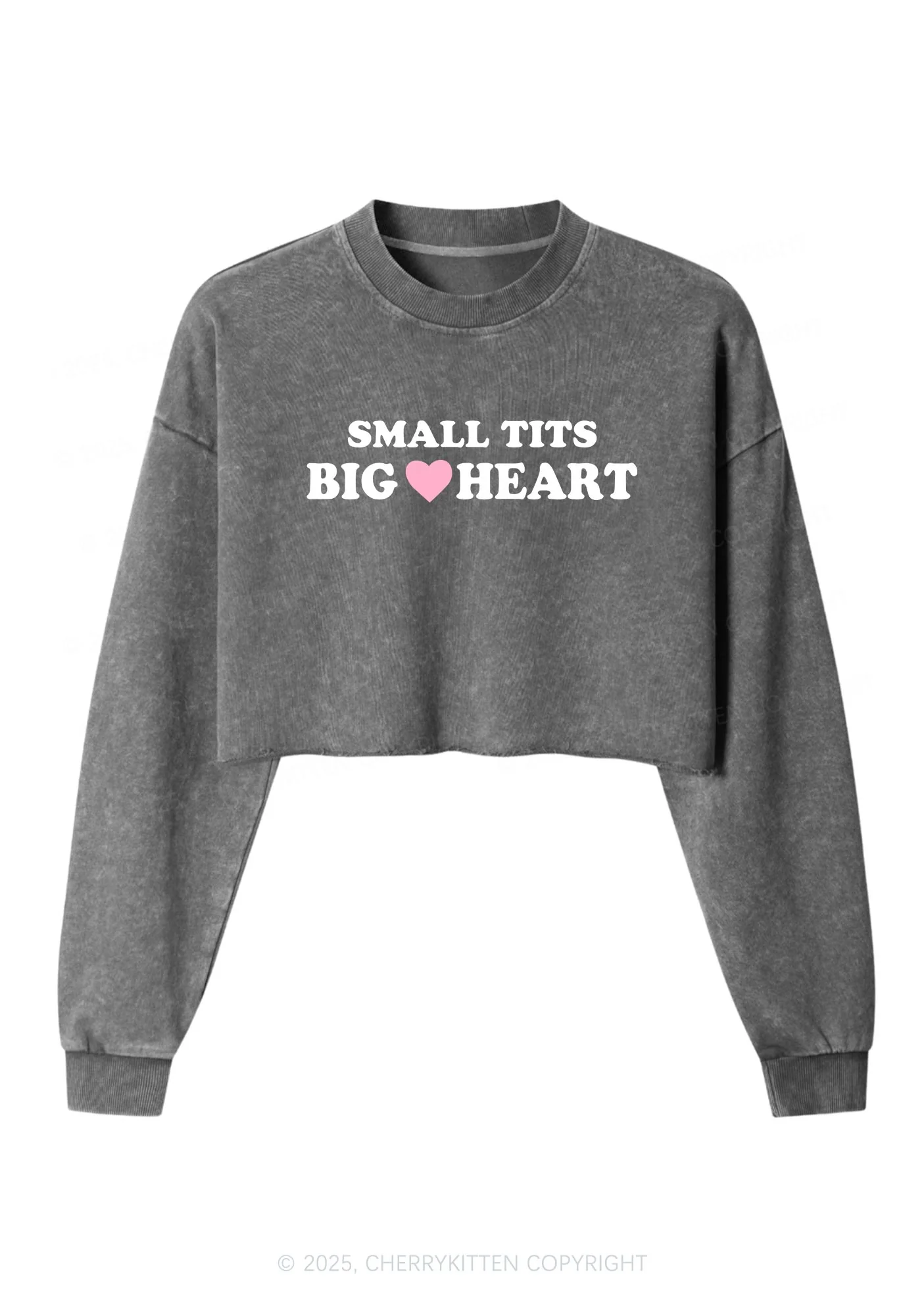 Small But Big Heart Y2K Crop Washed Sweatshirts Cherrykitten - Image 5