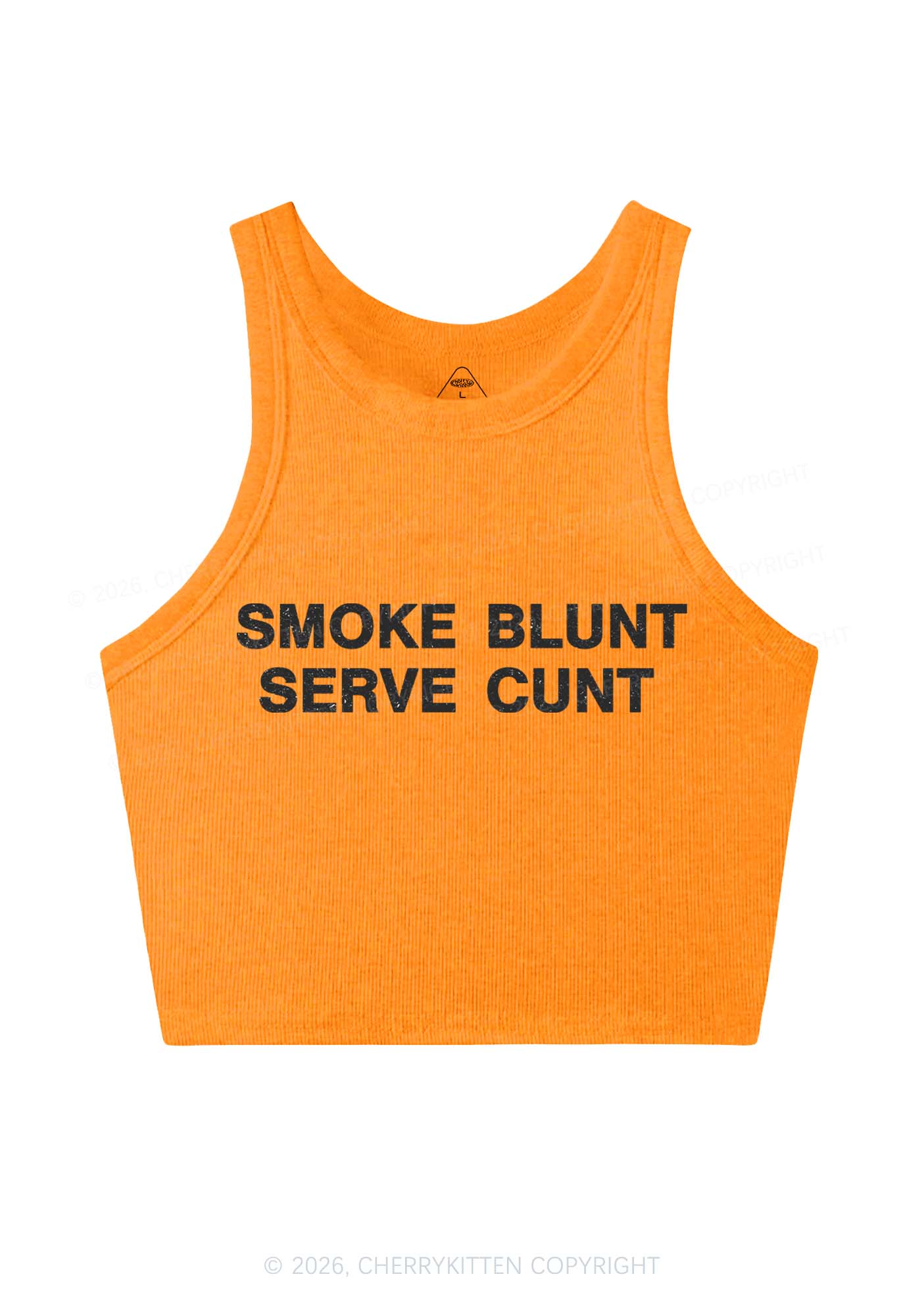 Smoke Blunt Y2K Crop Tank Top Cherrykitten - Image 8