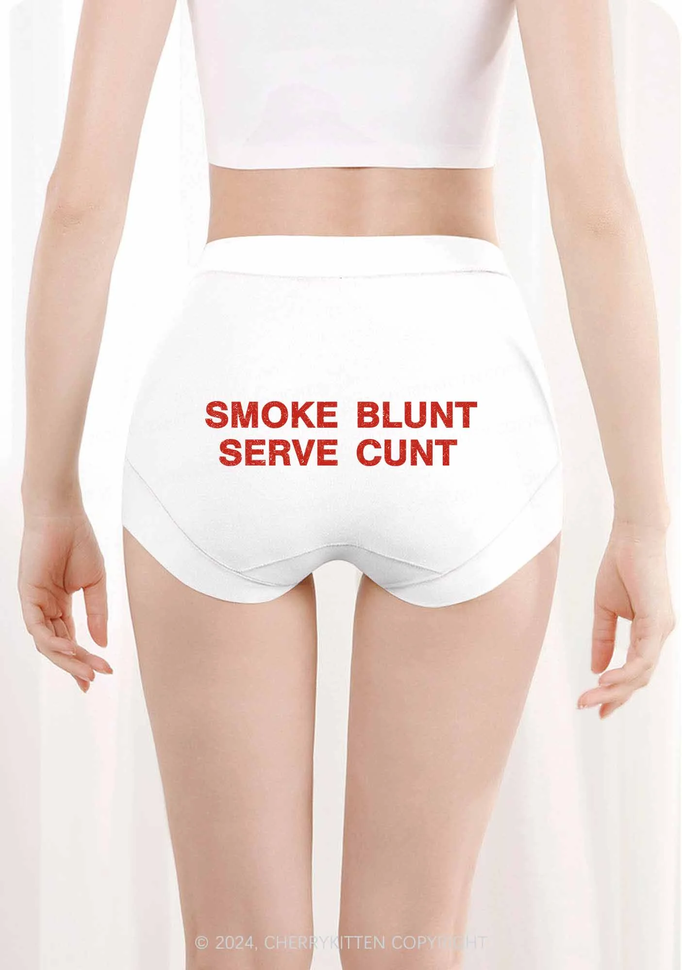 Smoke Blunt Y2K Mid Rise Waist Boyshort Cherrykitten - Image 3