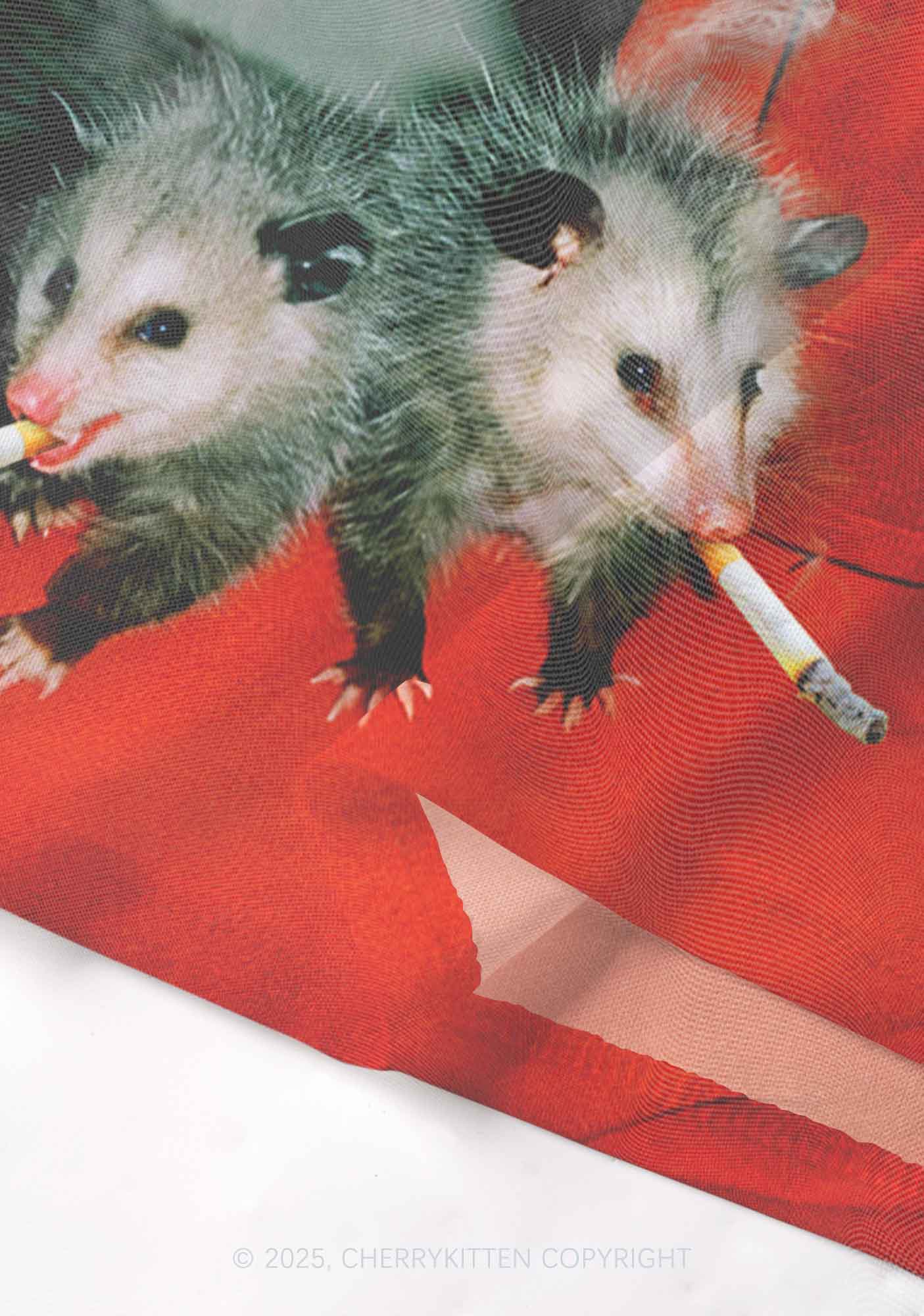 Smoking Badass Possum Y2K Mesh Cami Tank Cherrykitten - Image 4