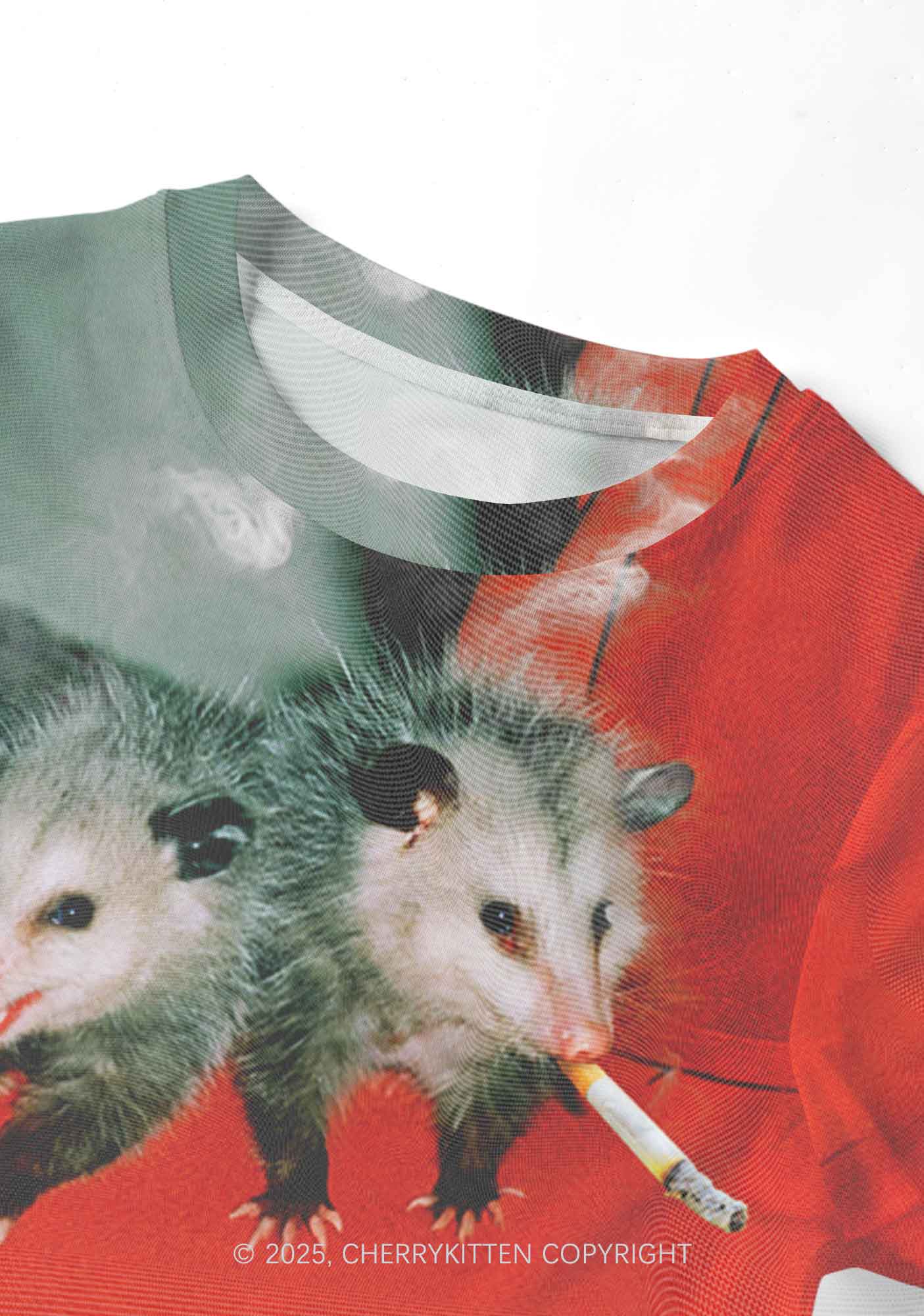 Smoking Badass Possum Y2K Mesh Crop Top Cherrykitten - Image 4