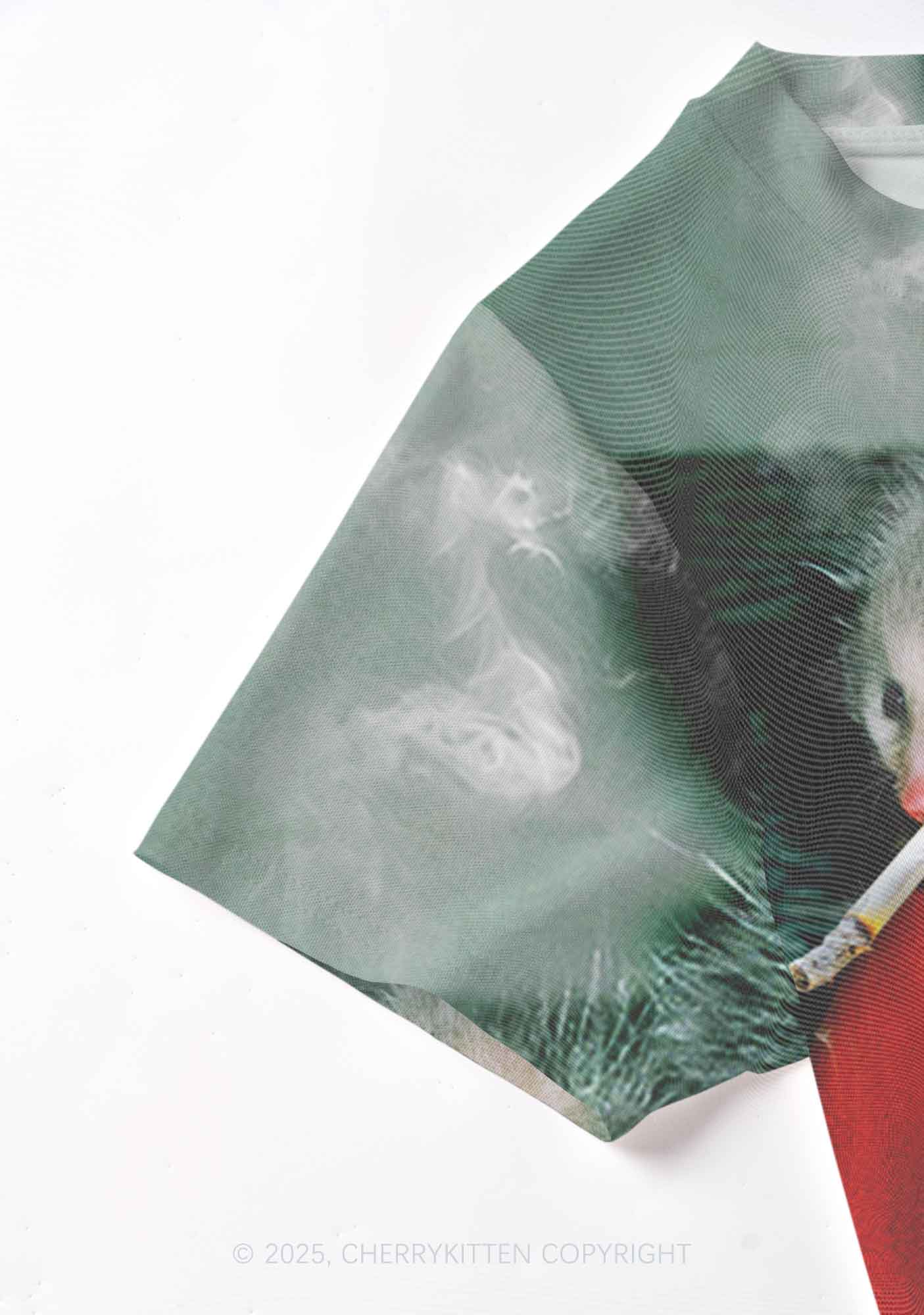 Smoking Badass Possum Y2K Mesh Crop Top Cherrykitten - Image 5
