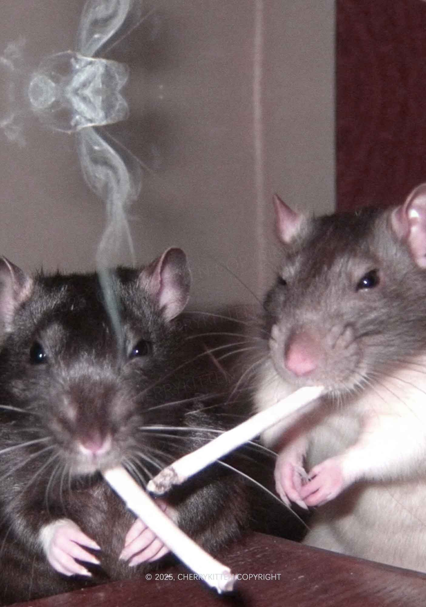 Smoking Rats Y2K Mesh Muscle Tank Cherrykitten - Image 2