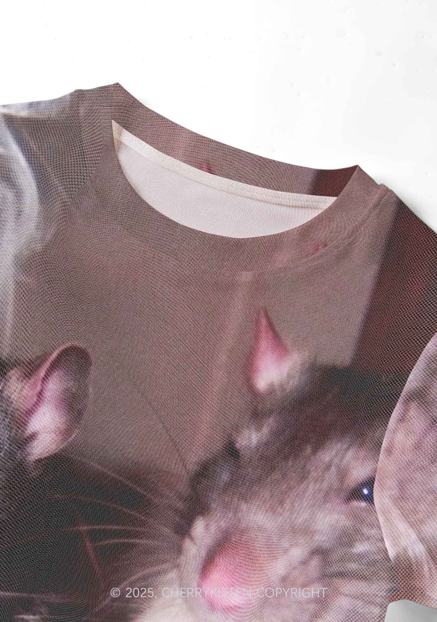 Smoking Rats Y2K Mesh Crop Top Cherrykitten - Image 4