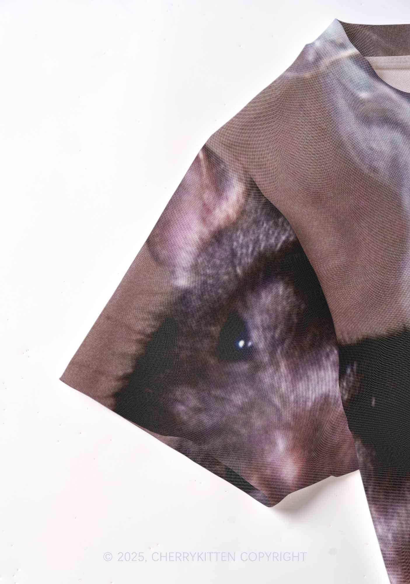 Smoking Rats Y2K Mesh Crop Top Cherrykitten - Image 6