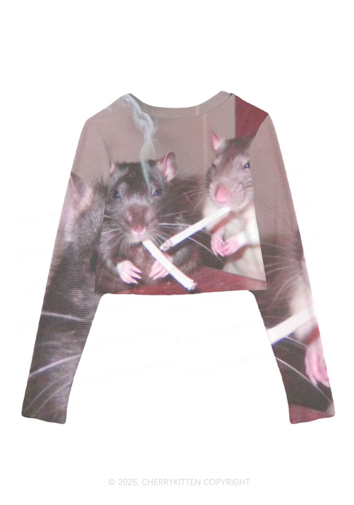 Smoking Rats Y2K Mesh Long Sleeve Crop Top Cherrykitten - Image 3