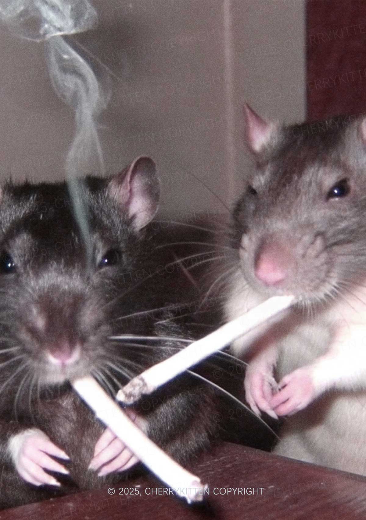 Smoking Rats Y2K Tyvek Tote Bags Cherrykitten - Image 2