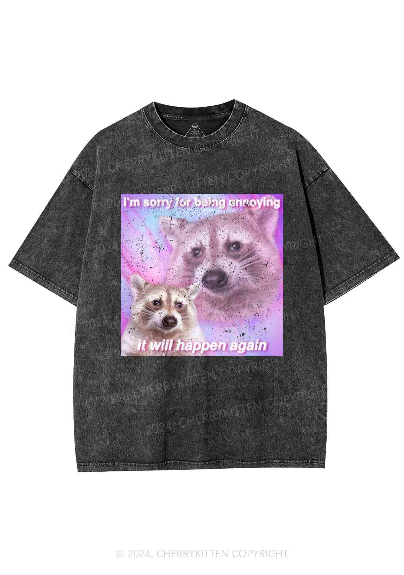 Sorry For Being Annoying Y2K Washed Tee Cherrykitten - Image 3