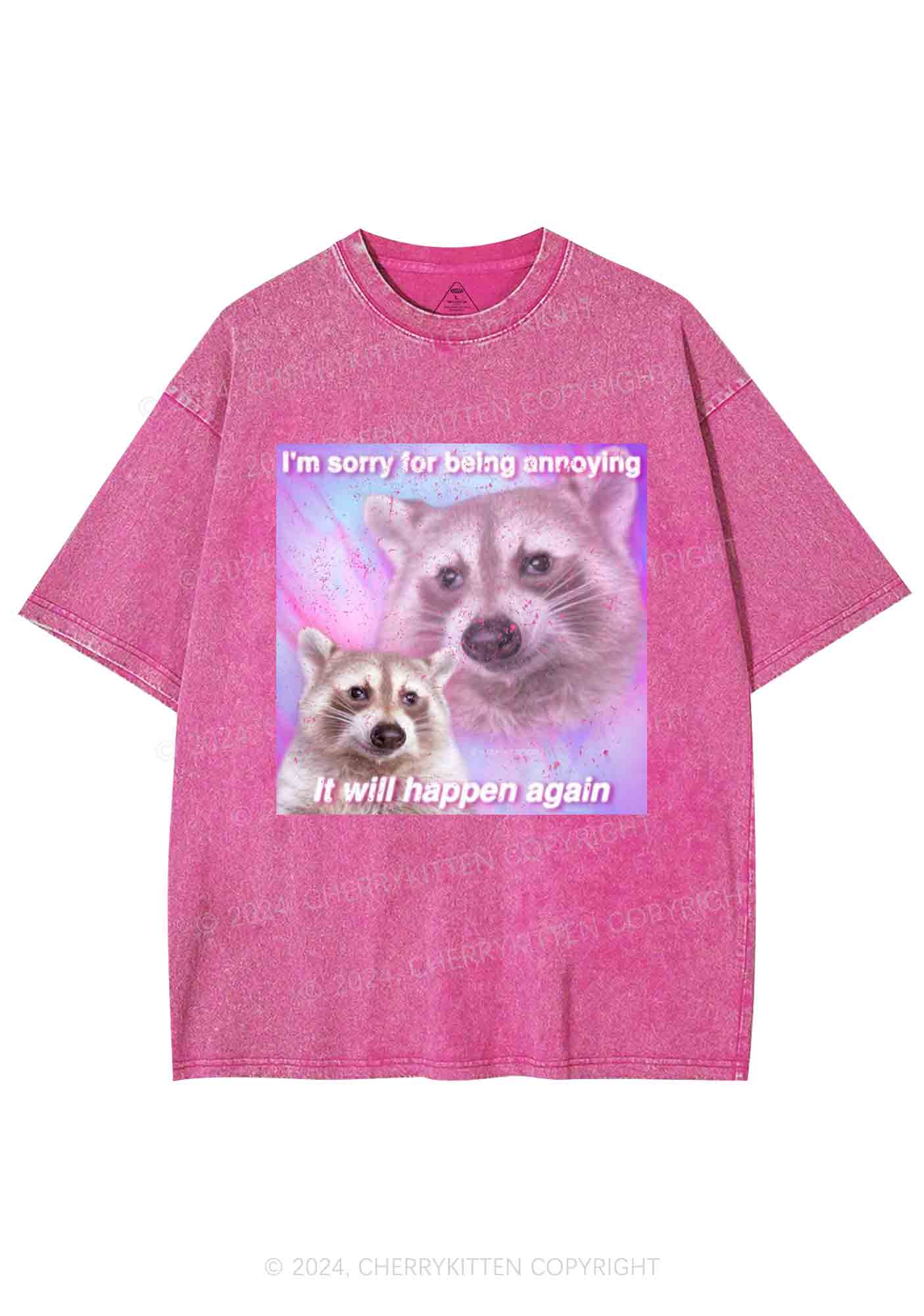 Sorry For Being Annoying Y2K Washed Tee Cherrykitten - Image 4