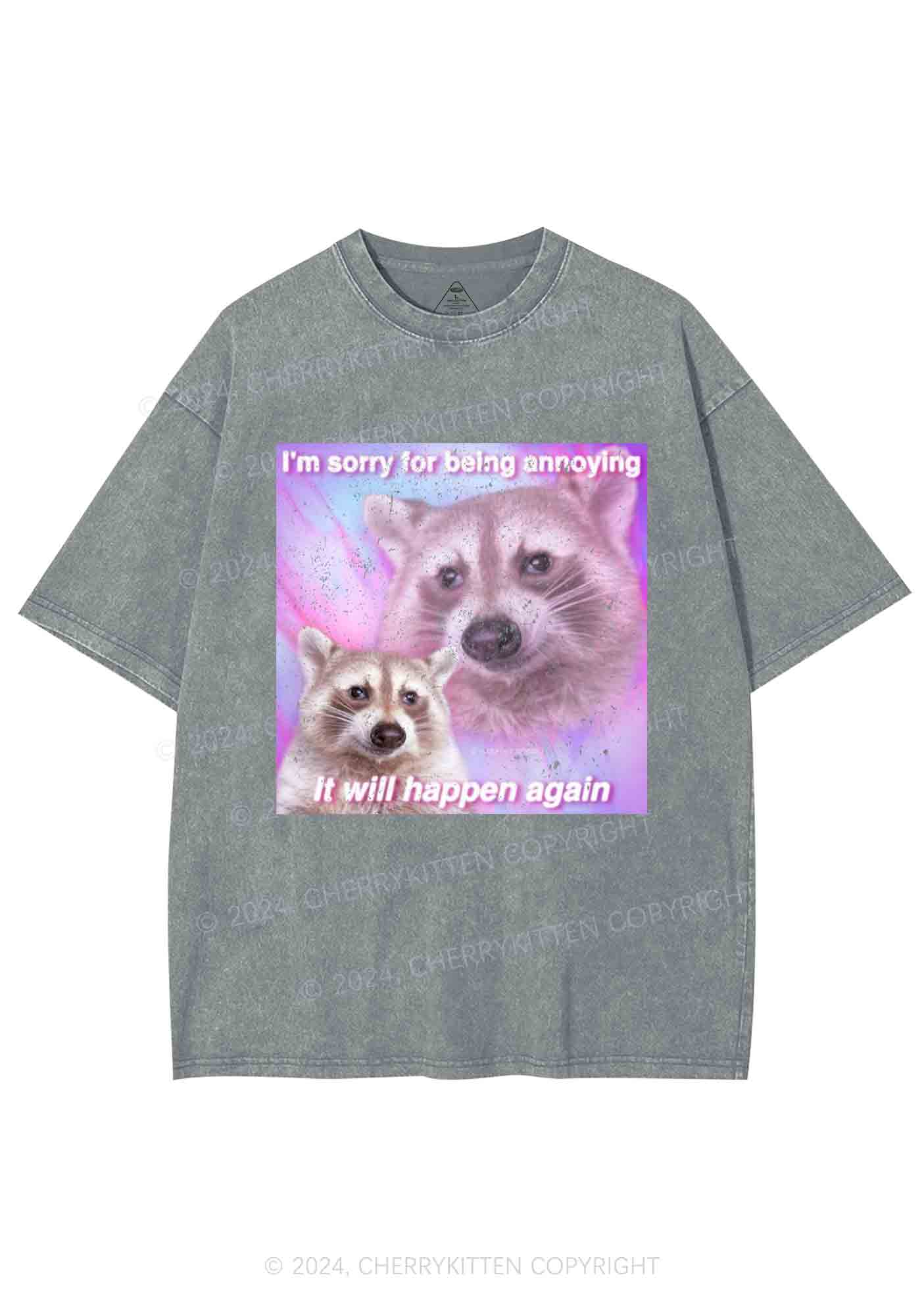 Sorry For Being Annoying Y2K Washed Tee Cherrykitten - Image 6