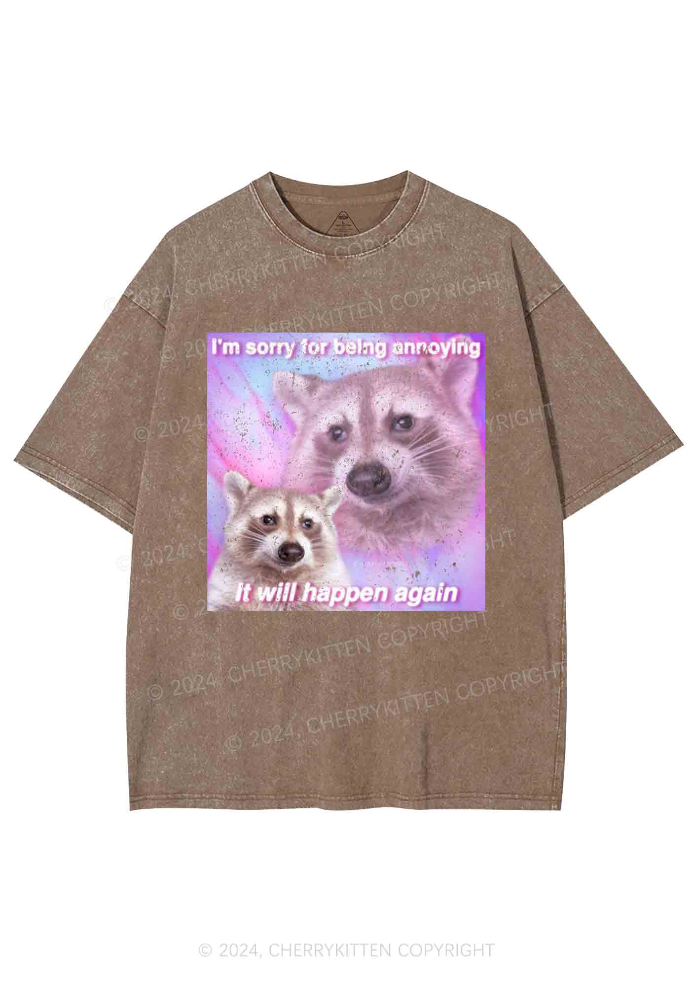 Sorry For Being Annoying Y2K Washed Tee Cherrykitten - Image 7