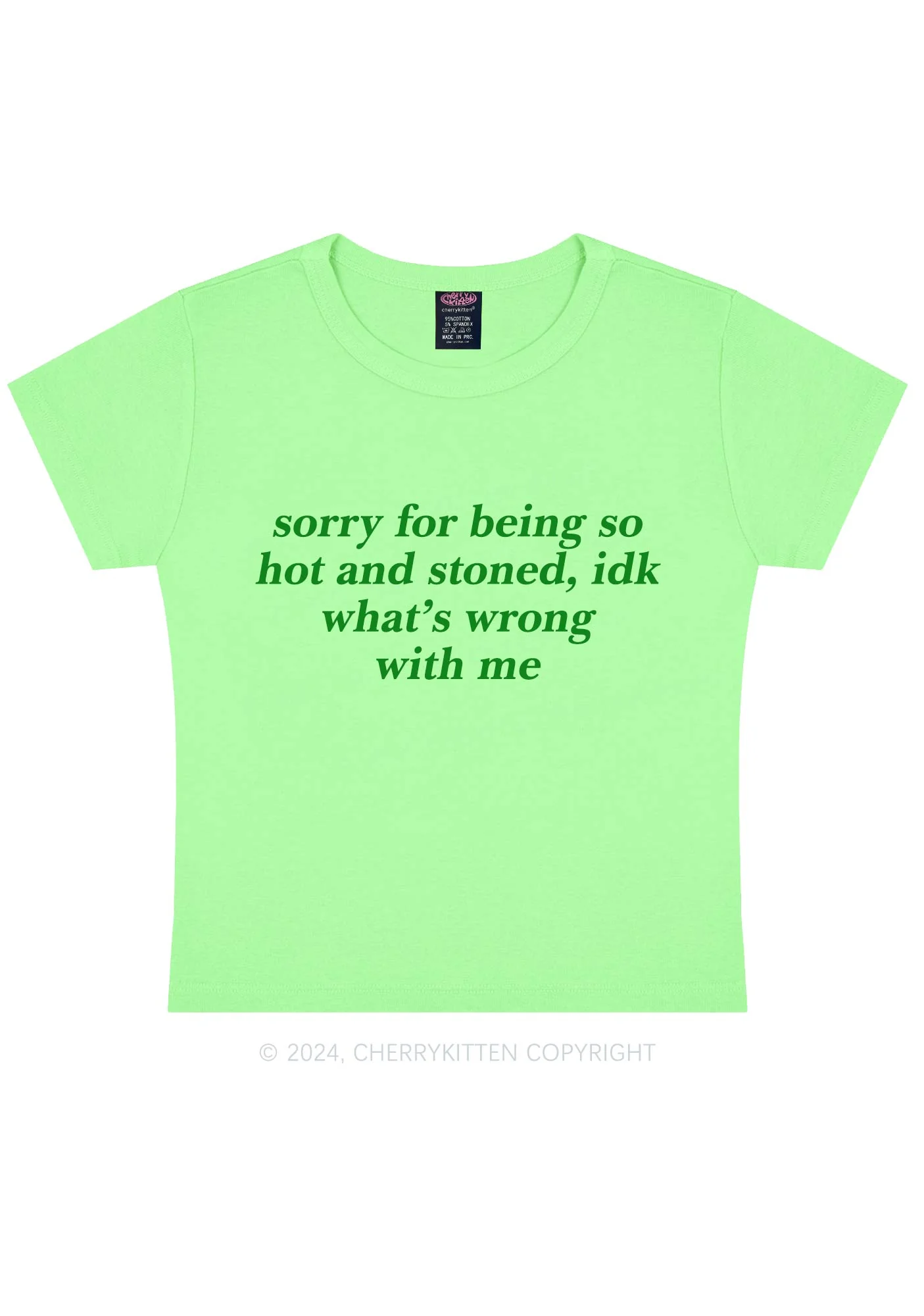 Sorry For Being Hot And Stoned Y2K Baby Tee Cherrykitten - Image 14