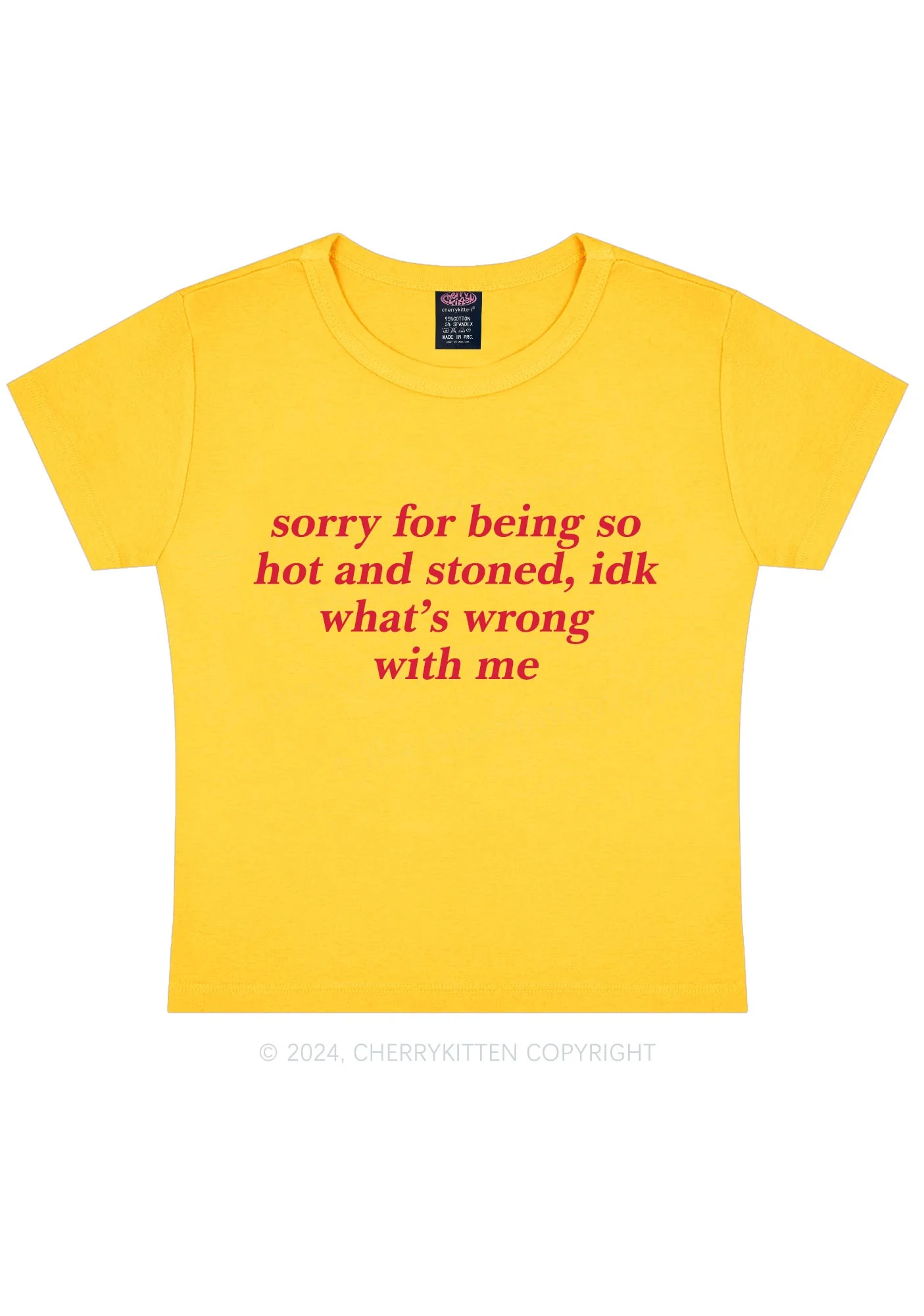 Sorry For Being Hot And Stoned Y2K Baby Tee Cherrykitten - Image 5