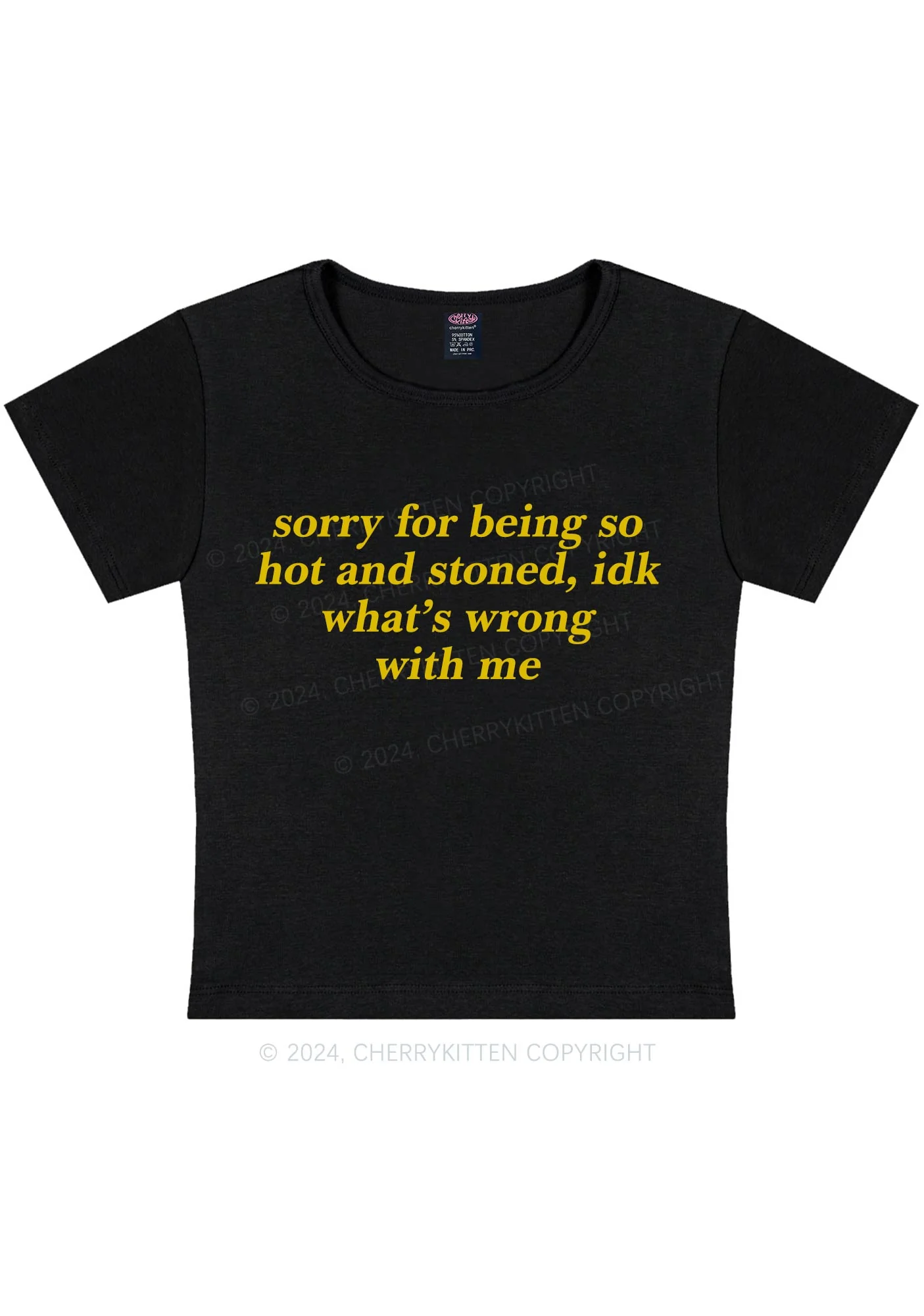 Sorry For Being Hot And Stoned Y2K Baby Tee Cherrykitten - Image 6