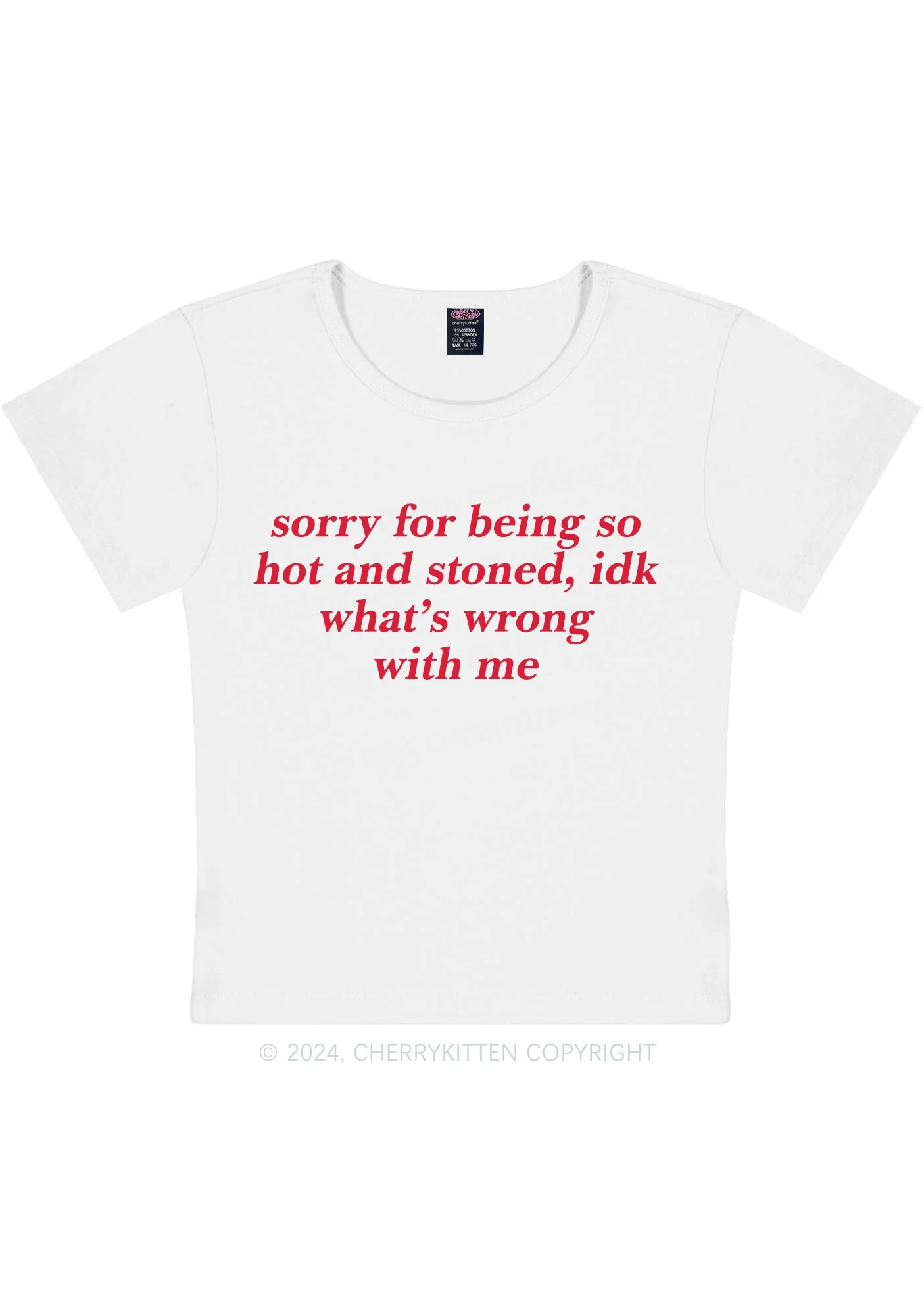 Sorry For Being Hot And Stoned Y2K Baby Tee Cherrykitten - Image 7