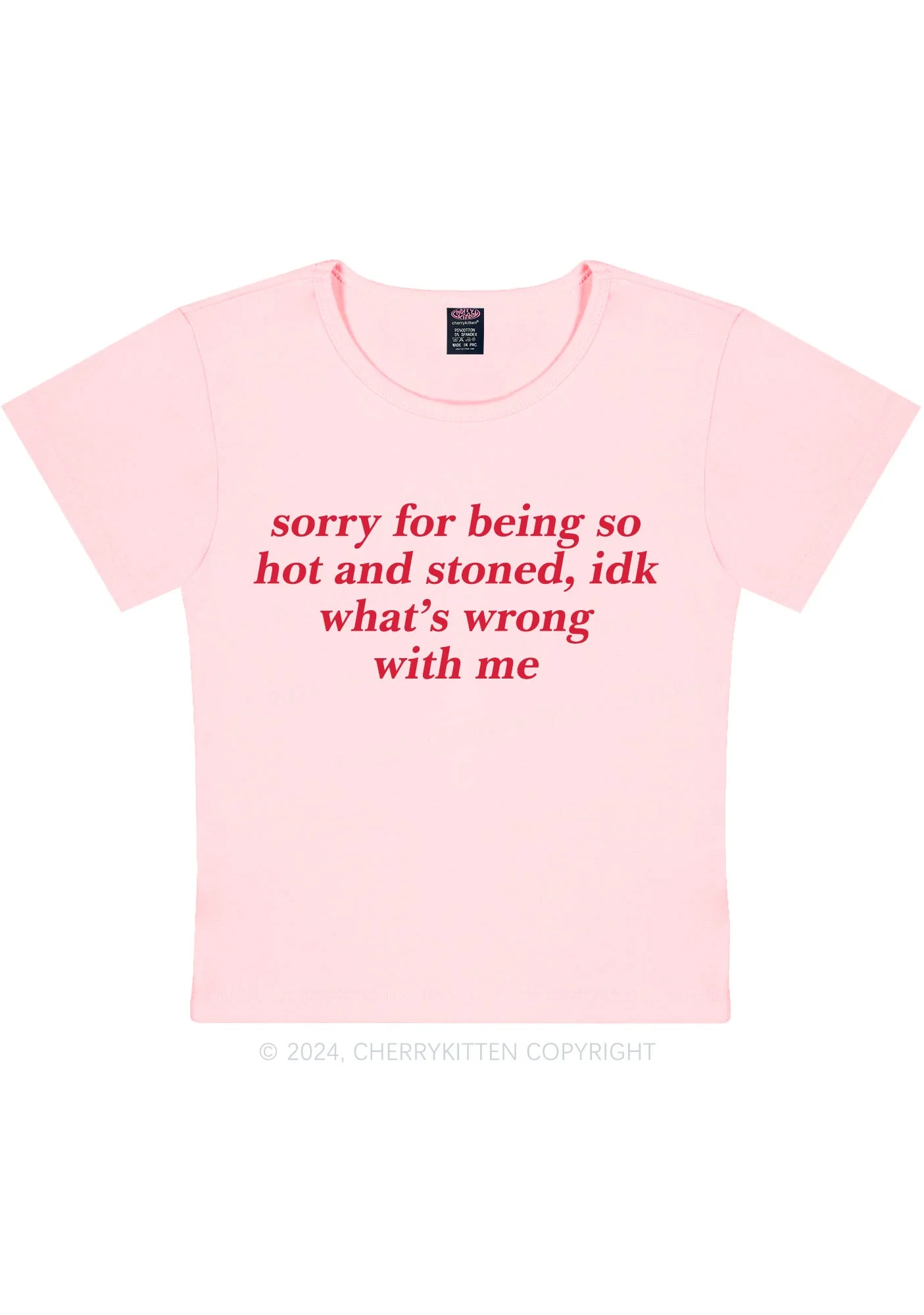 Sorry For Being Hot And Stoned Y2K Baby Tee Cherrykitten - Image 8