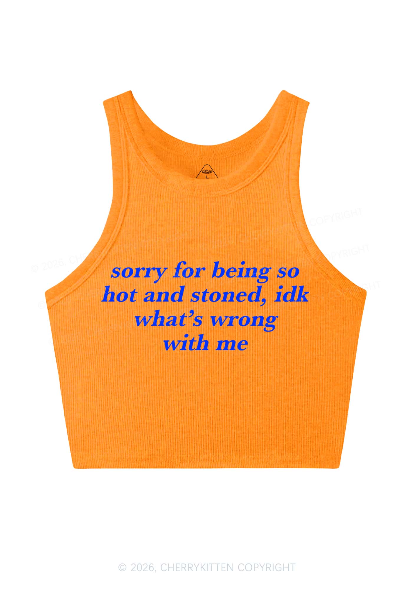 Sorry For Being Hot And Stoned Y2K Crop Tank Top Cherrykitten - Image 10