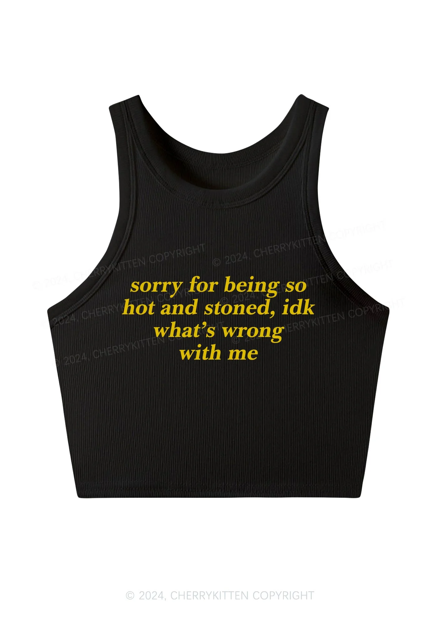 Sorry For Being Hot And Stoned Y2K Crop Tank Top Cherrykitten - Image 4