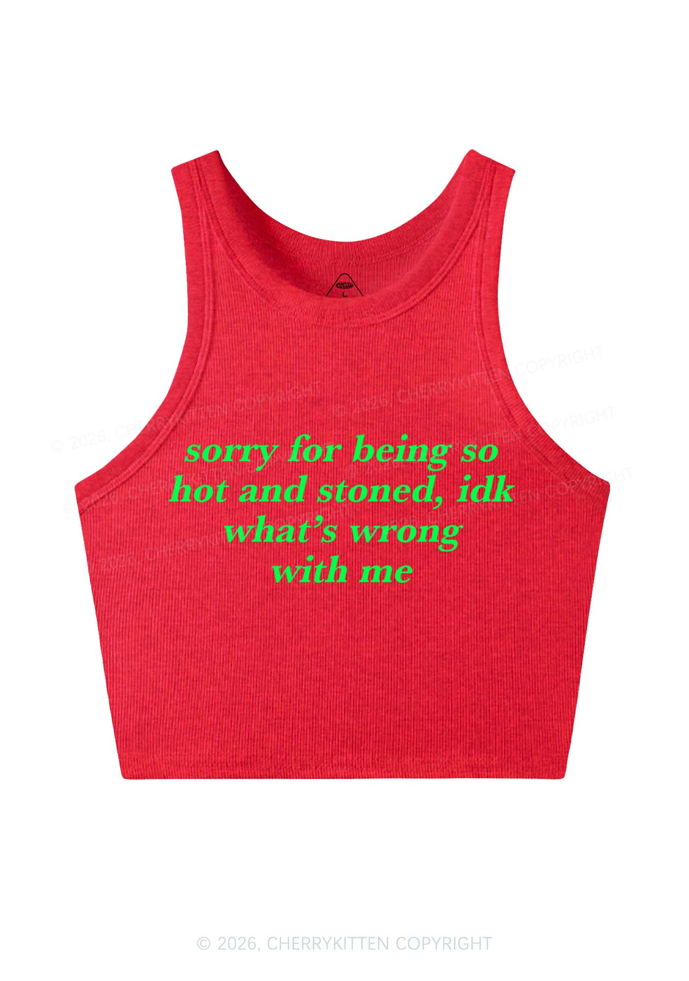 Sorry For Being Hot And Stoned Y2K Crop Tank Top Cherrykitten - Image 5