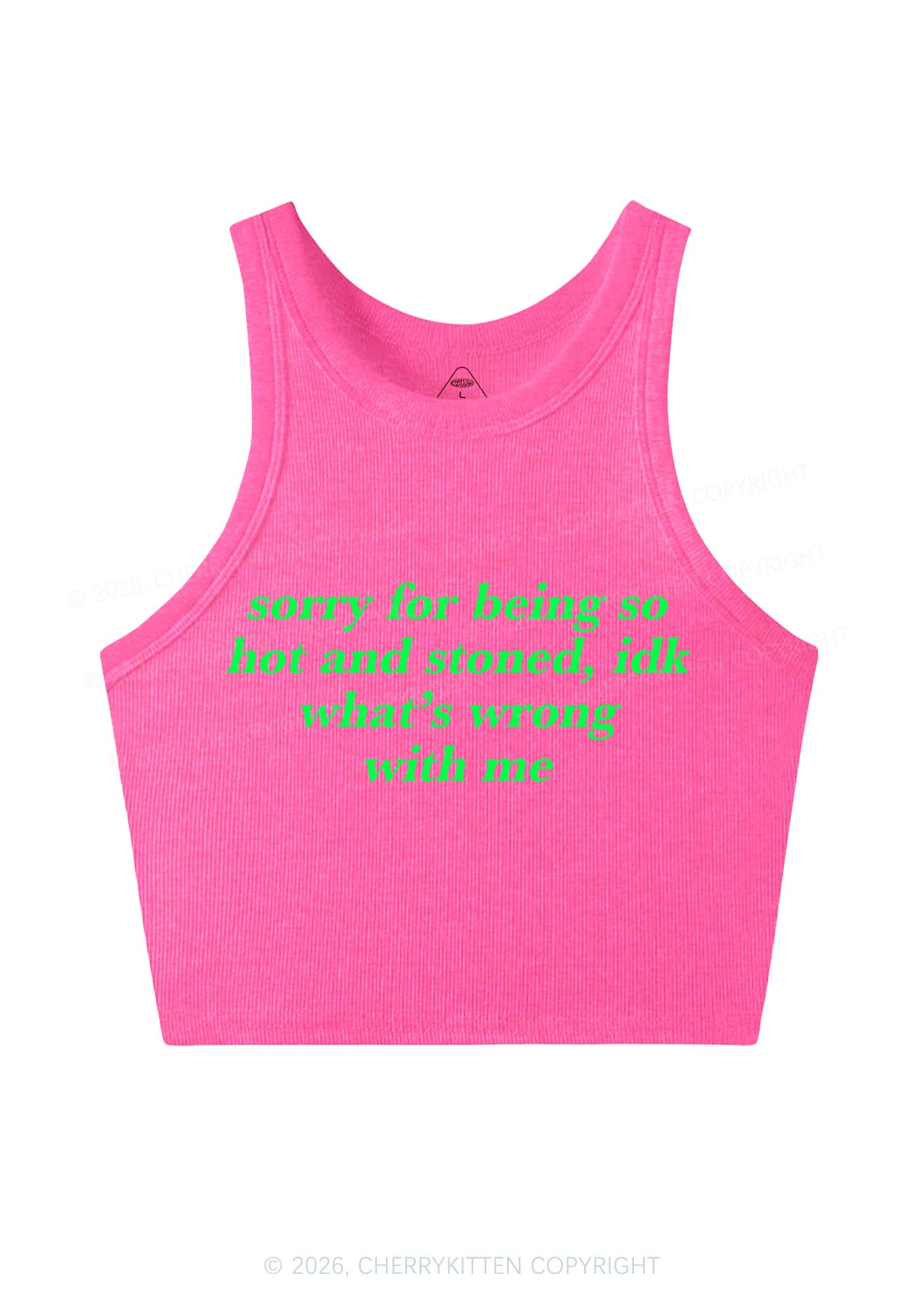 Sorry For Being Hot And Stoned Y2K Crop Tank Top Cherrykitten - Image 6