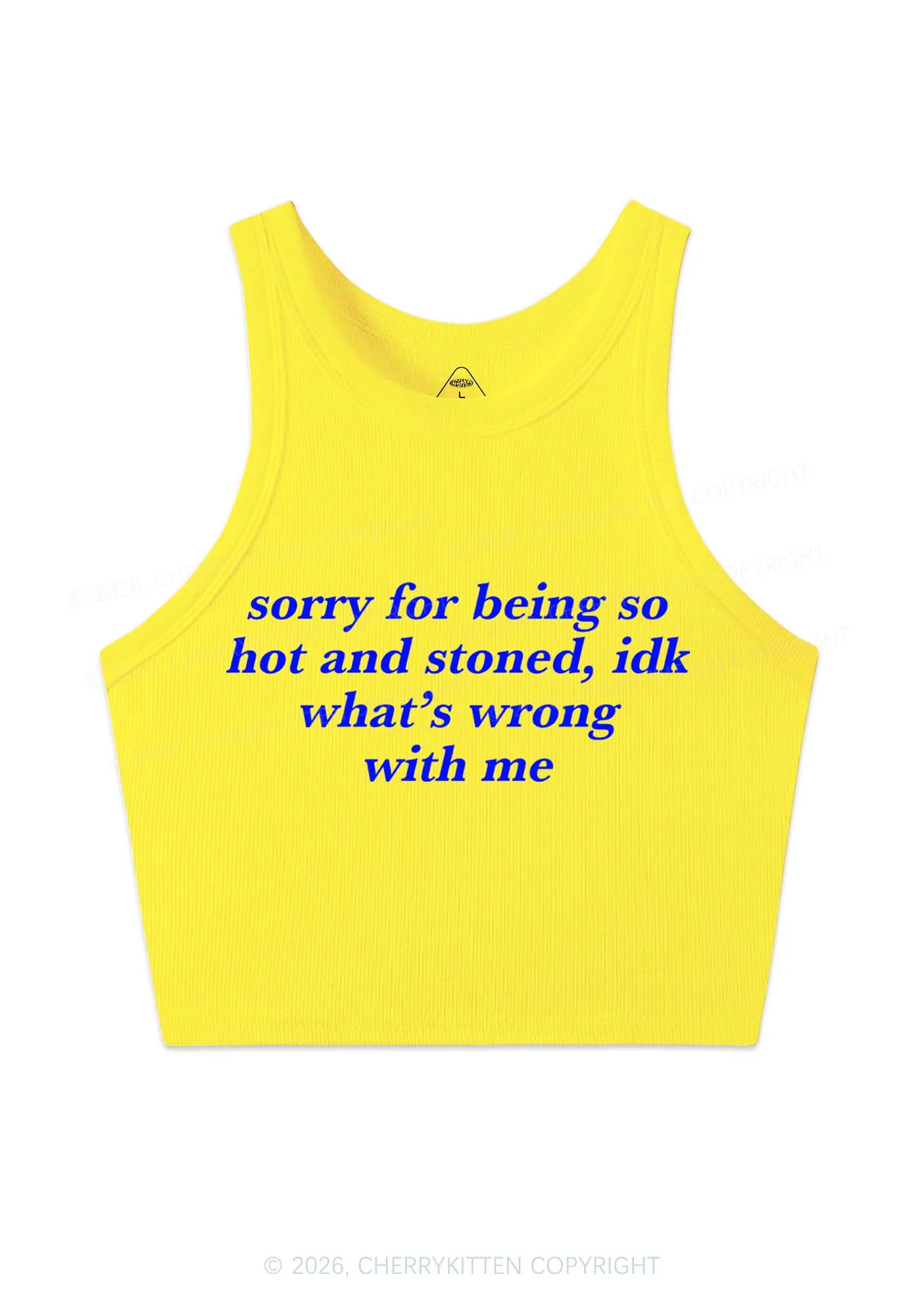 Sorry For Being Hot And Stoned Y2K Crop Tank Top Cherrykitten - Image 7