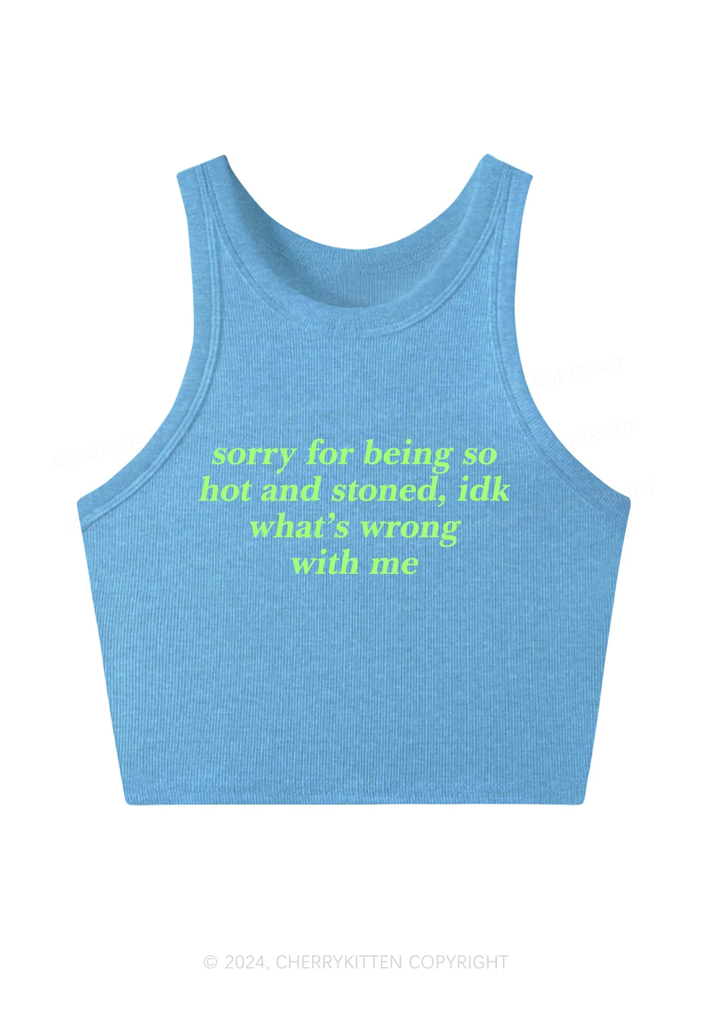 Sorry For Being Hot And Stoned Y2K Crop Tank Top Cherrykitten - Image 9