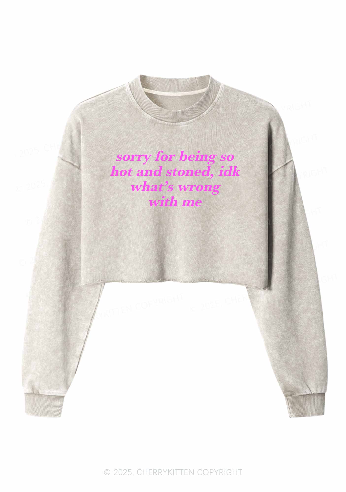 Sorry For Being Hot And Stoned Y2K Crop Washed Sweatshirts Cherrykitten - Image 3