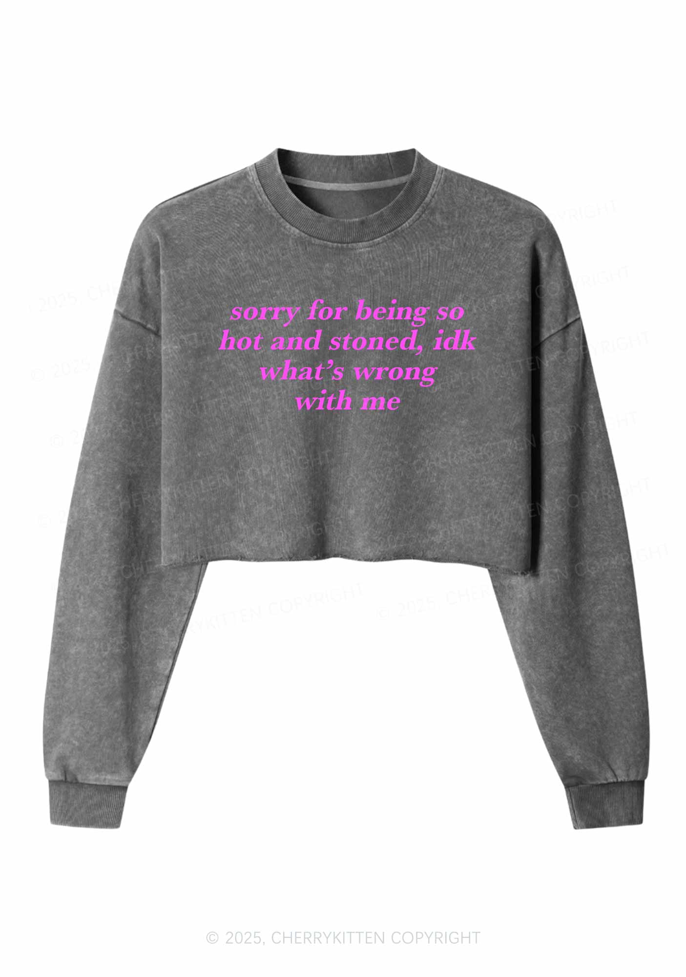 Sorry For Being Hot And Stoned Y2K Crop Washed Sweatshirts Cherrykitten - Image 4