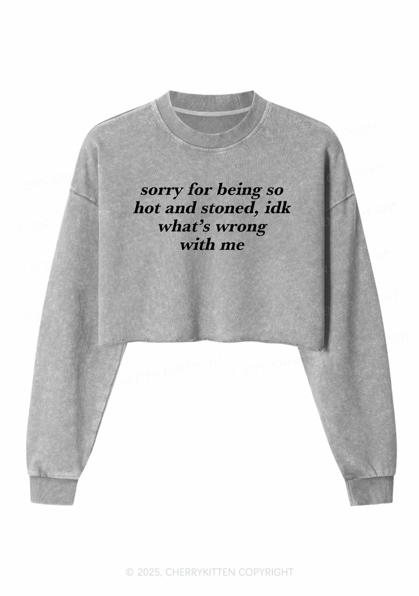 Sorry For Being Hot And Stoned Y2K Crop Washed Sweatshirts Cherrykitten - Image 5