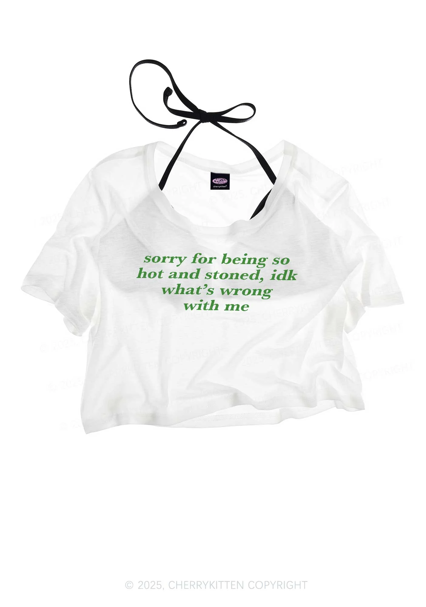 Sorry For Being Hot And Stoned Y2K Sheer Crop Tee Cherrykitten - Image 3