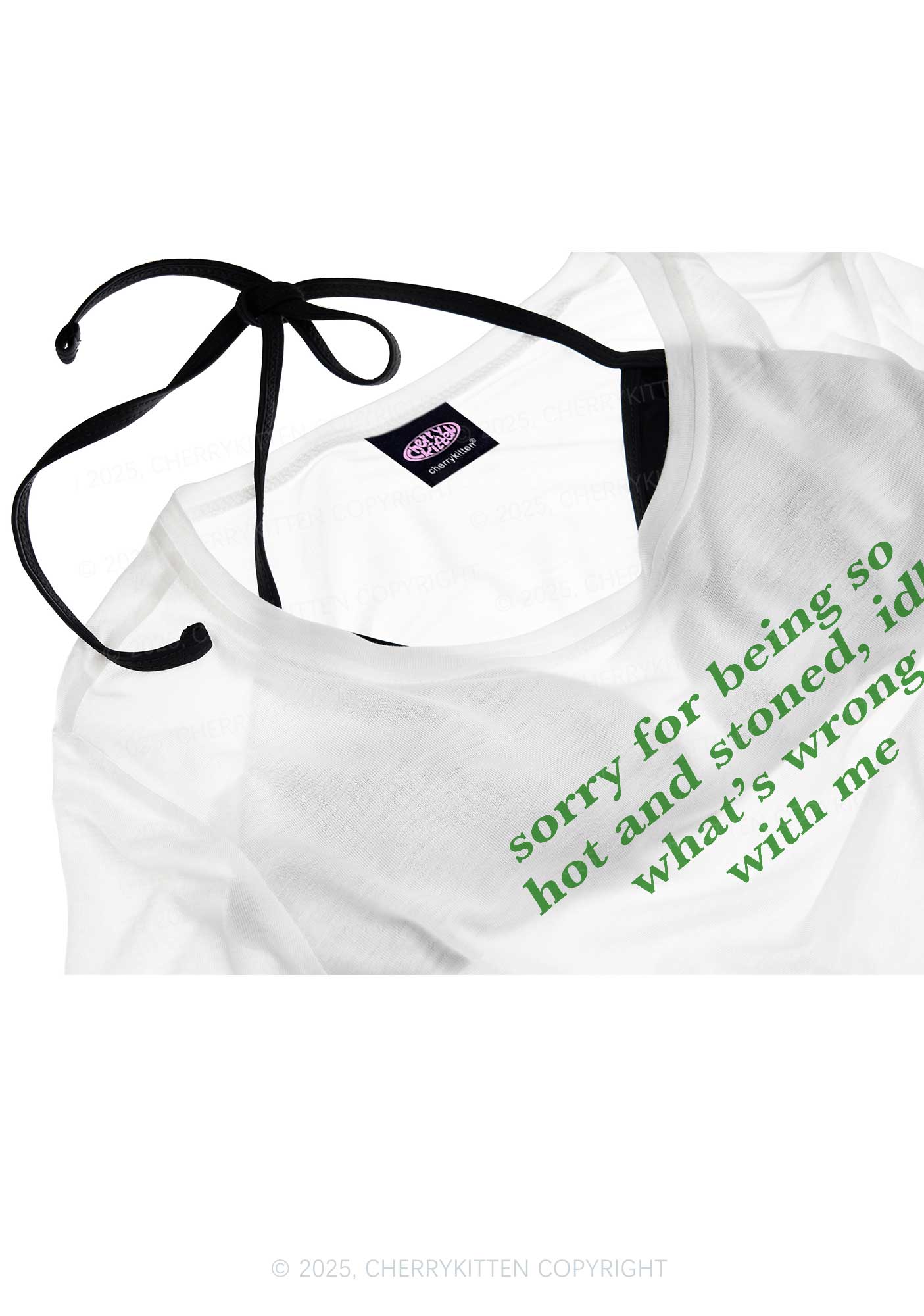 Sorry For Being Hot And Stoned Y2K Sheer Crop Tee Cherrykitten - Image 4