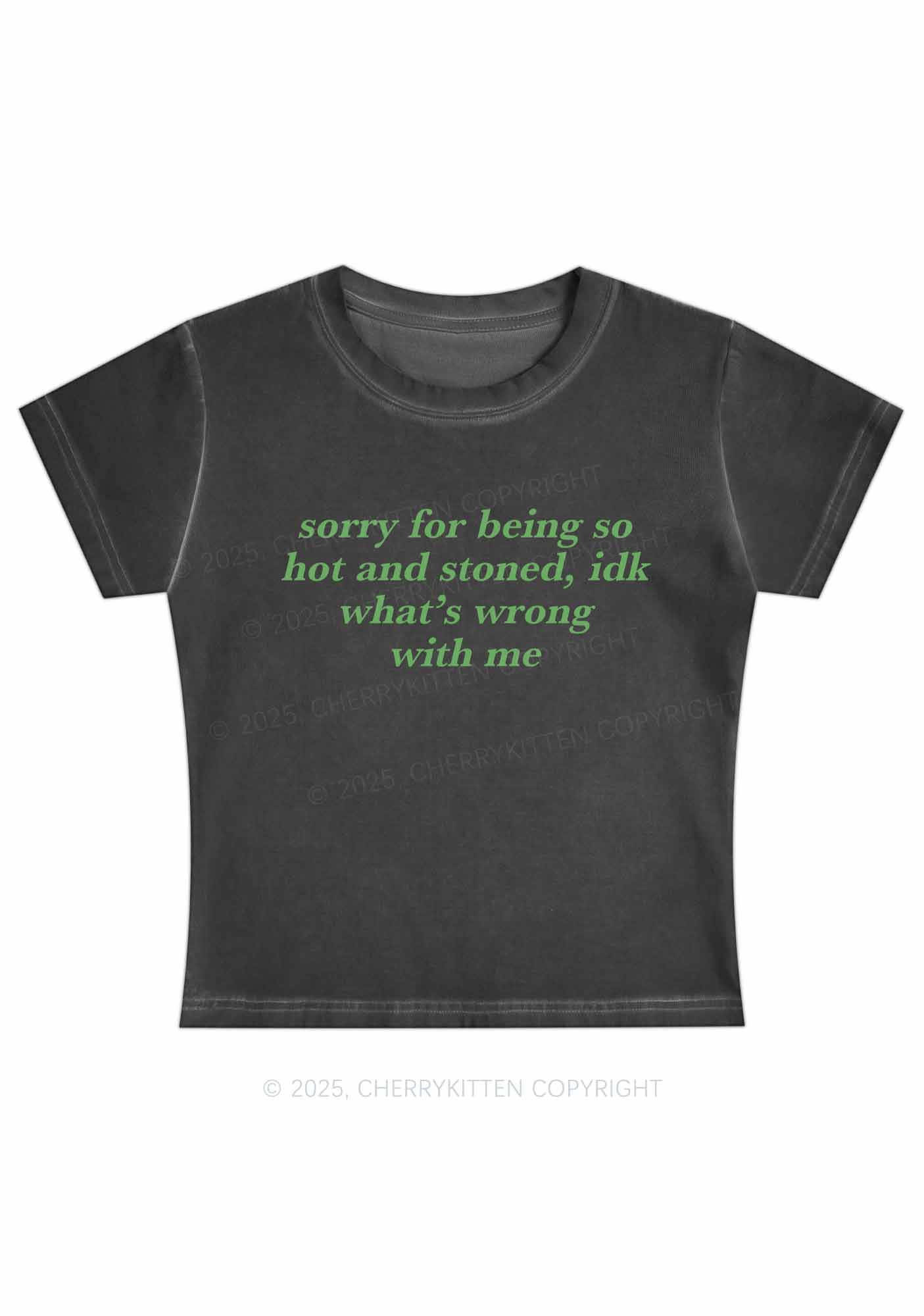 Sorry For Being Hot And Stoned Y2K Vintage Classic Tee Cherrykitten - Image 2
