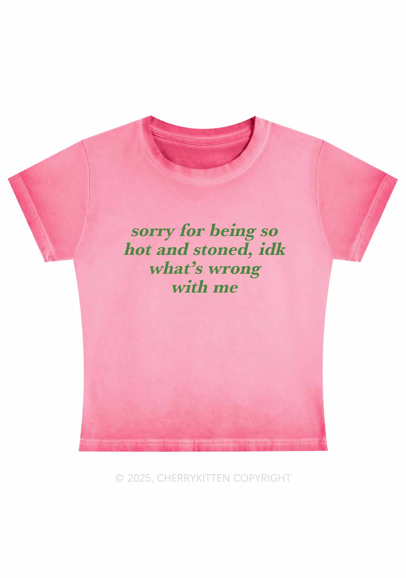Sorry For Being Hot And Stoned Y2K Vintage Classic Tee Cherrykitten - Image 3