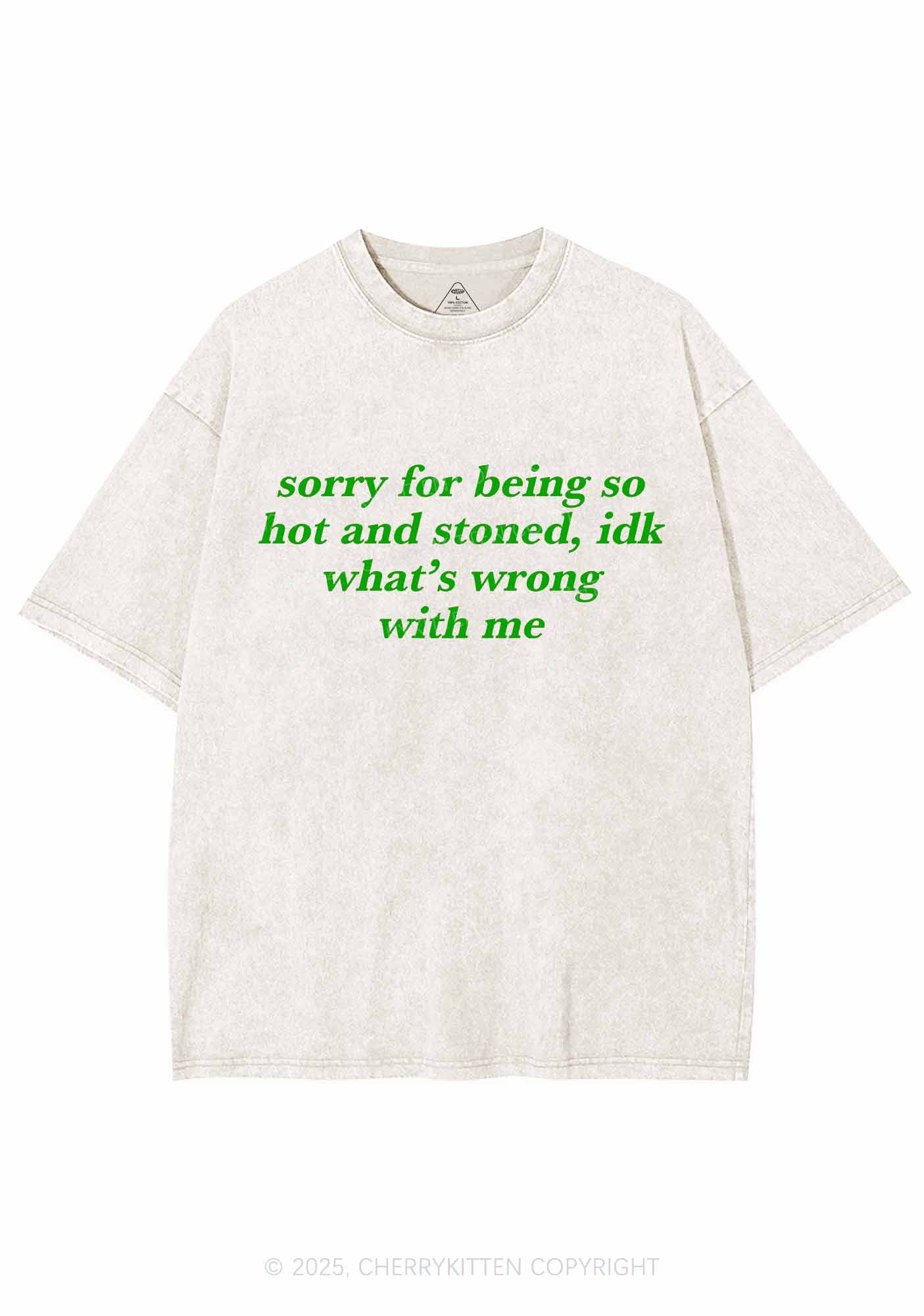 Sorry For Being Hot And Stoned Y2K Washed Tee Cherrykitten - Image 4
