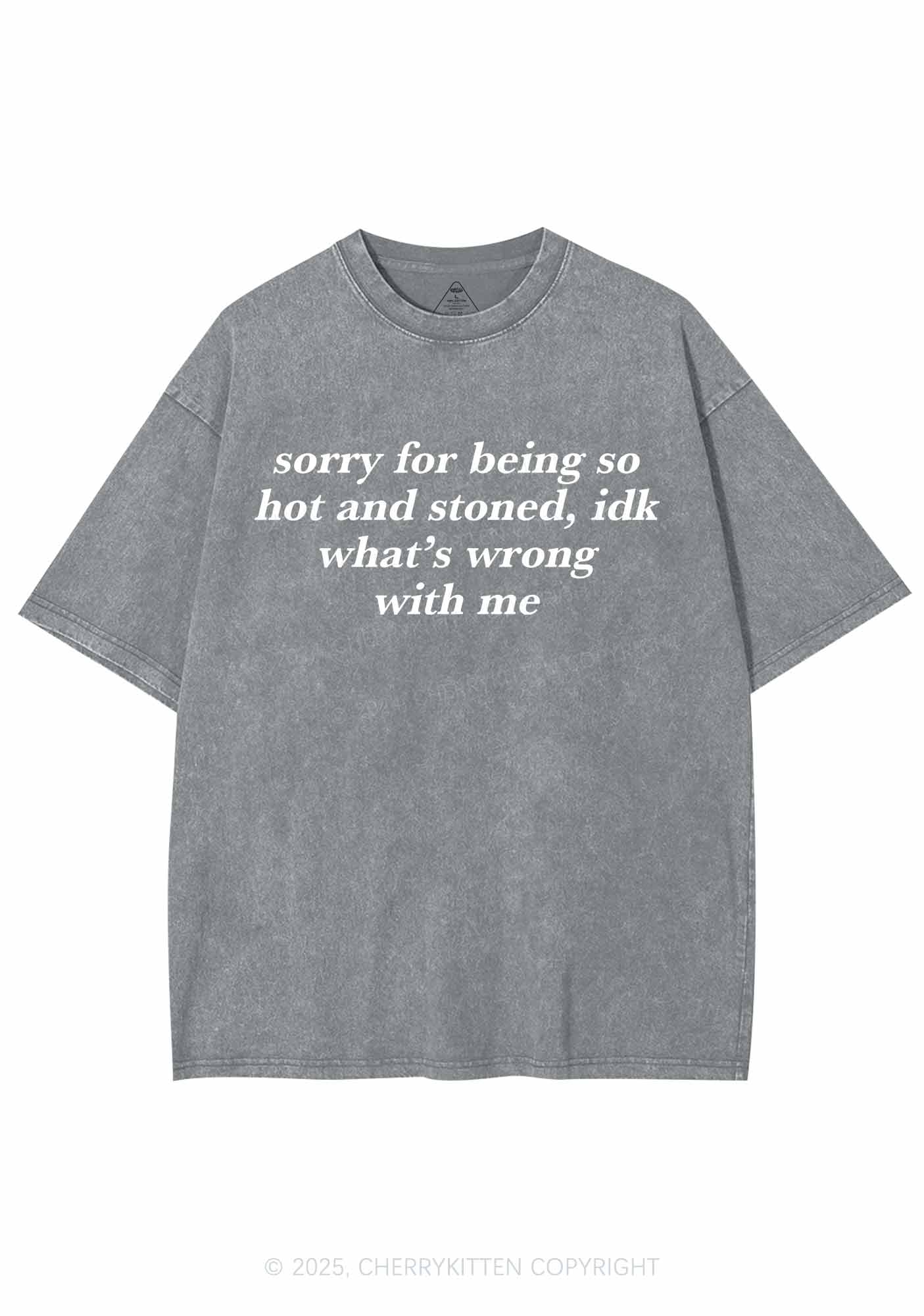Sorry For Being Hot And Stoned Y2K Washed Tee Cherrykitten - Image 7