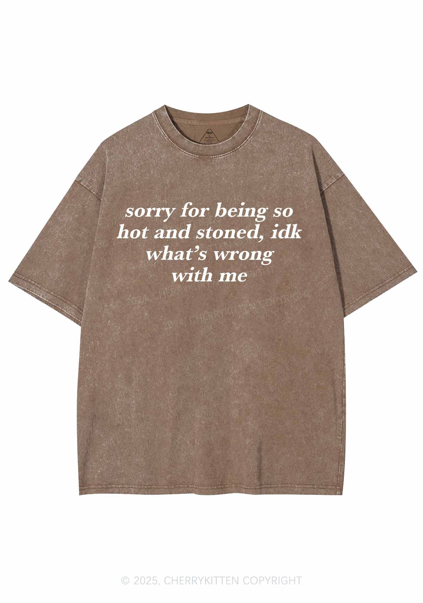 Sorry For Being Hot And Stoned Y2K Washed Tee Cherrykitten - Image 8