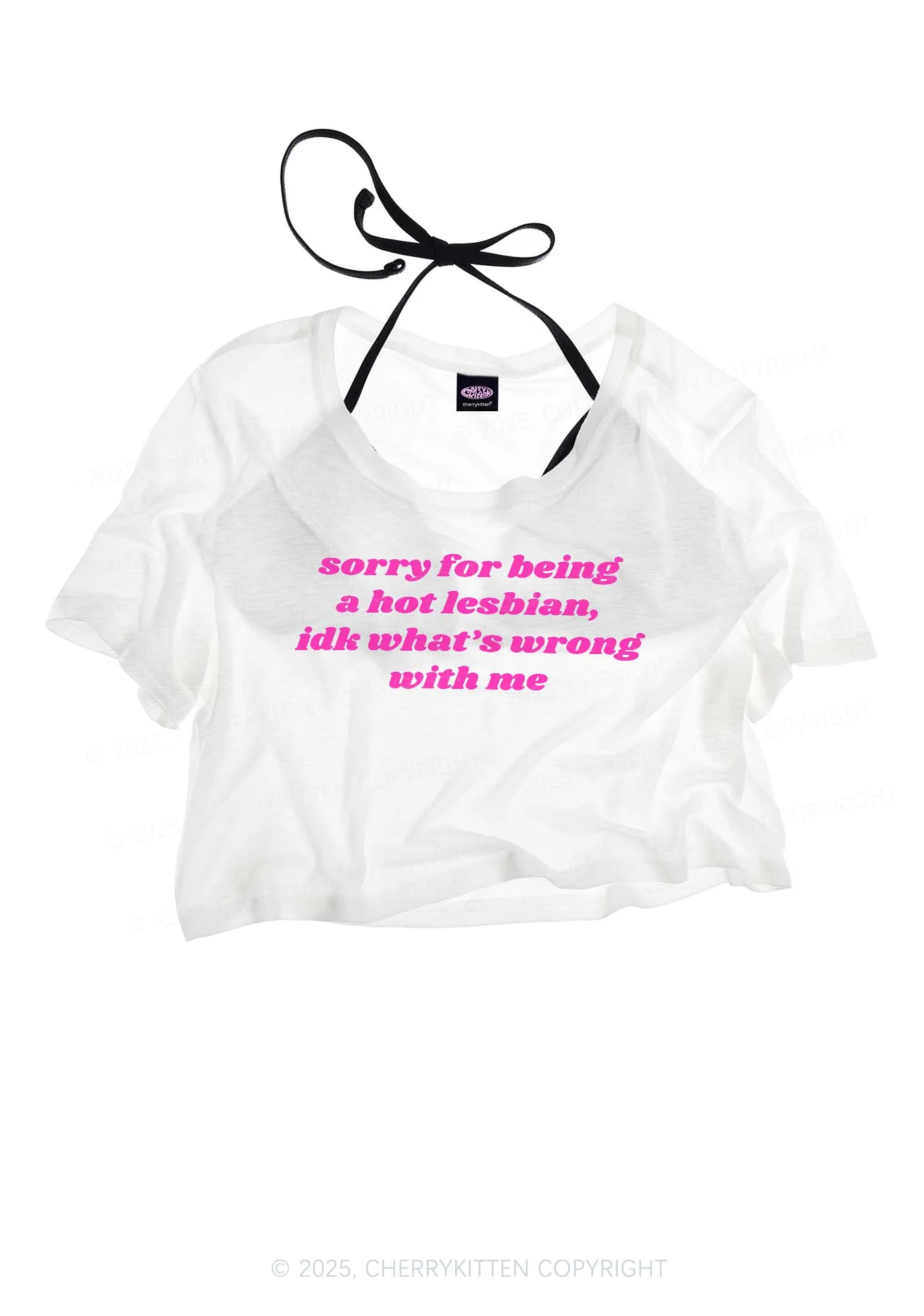 Sorry For Being Hot Lesbian Pride Y2K Sheer Crop Tee Cherrykitten - Image 3