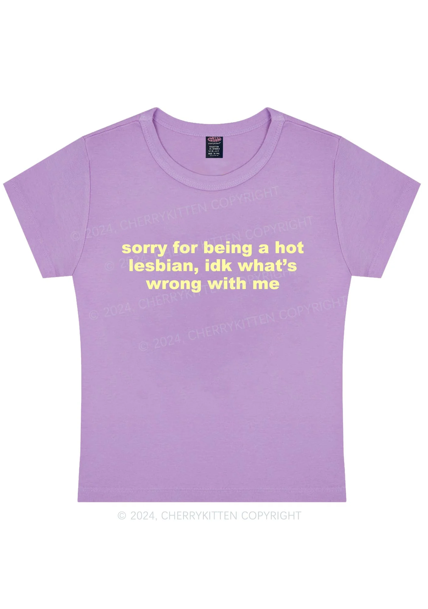 Sorry For Being Hot Lesbian Y2K Baby Tee Cherrykitten - Image 10